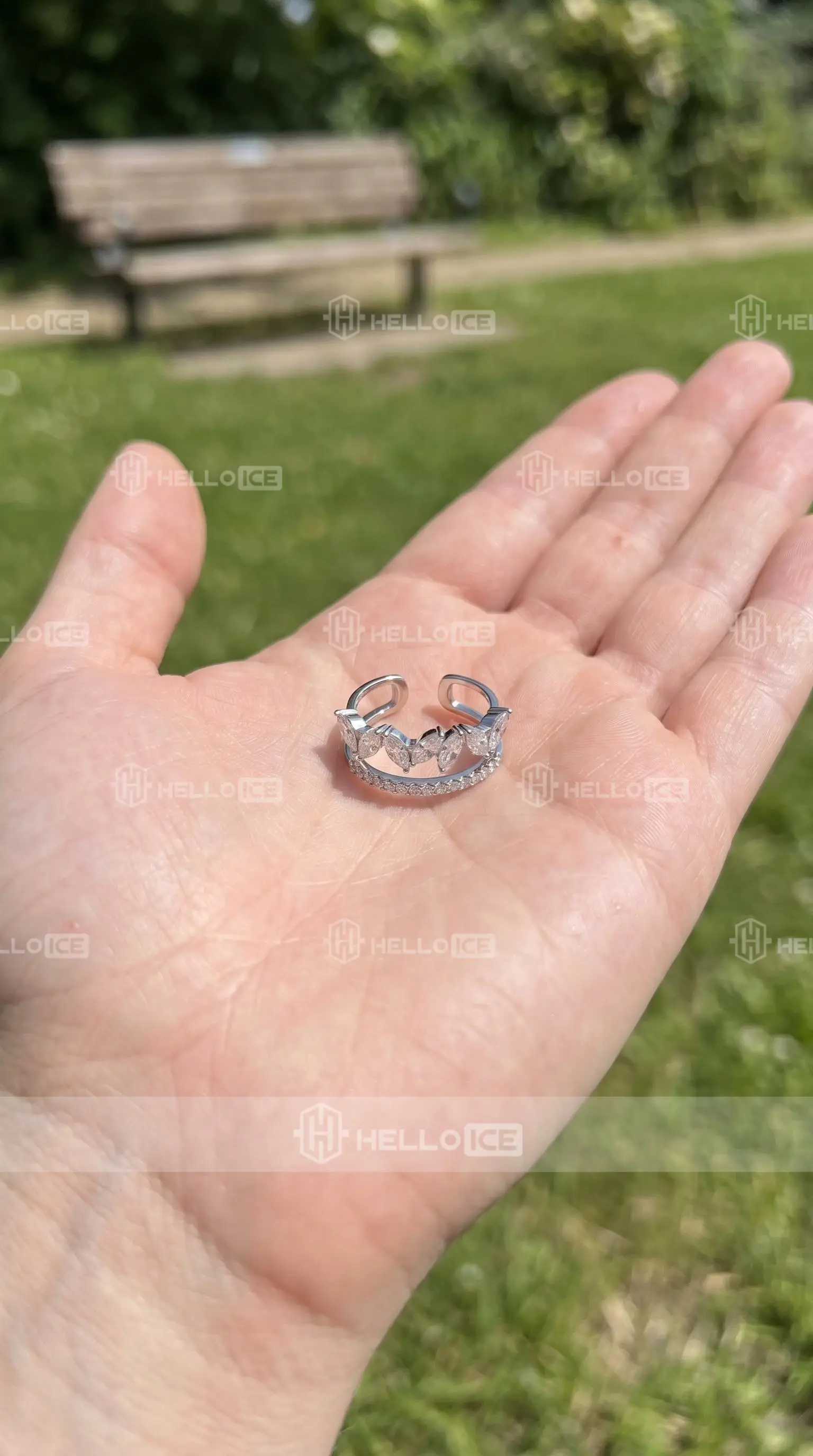 Helloice Review Image