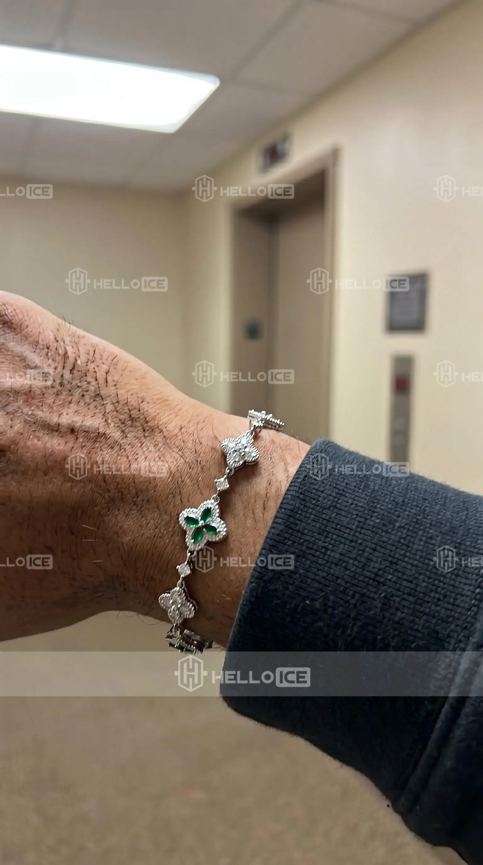 Helloice Review Image
