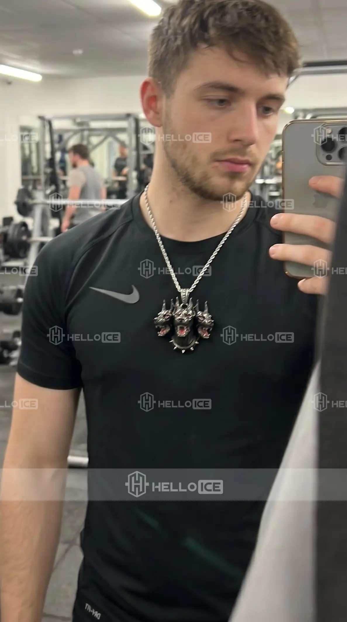 Helloice Review Image