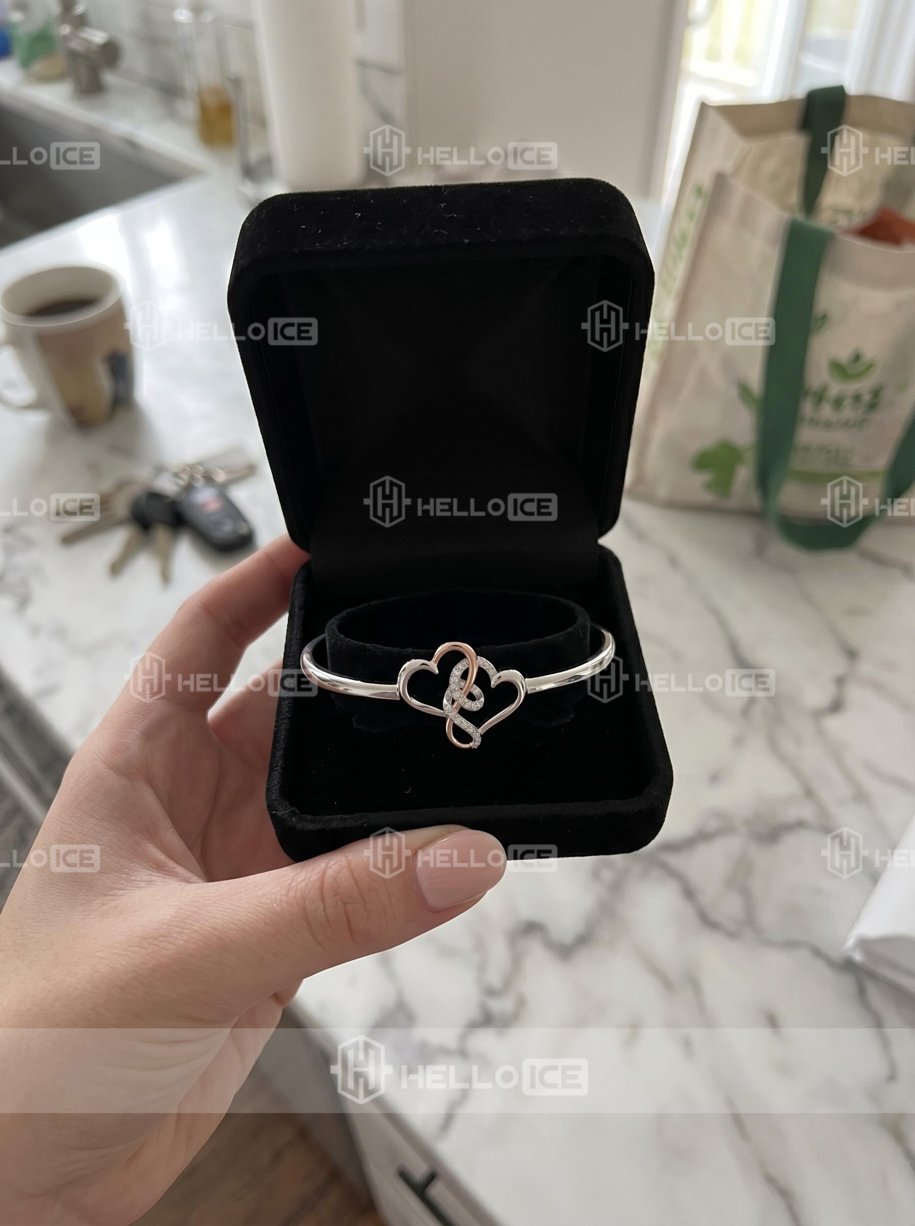 Helloice Review Image
