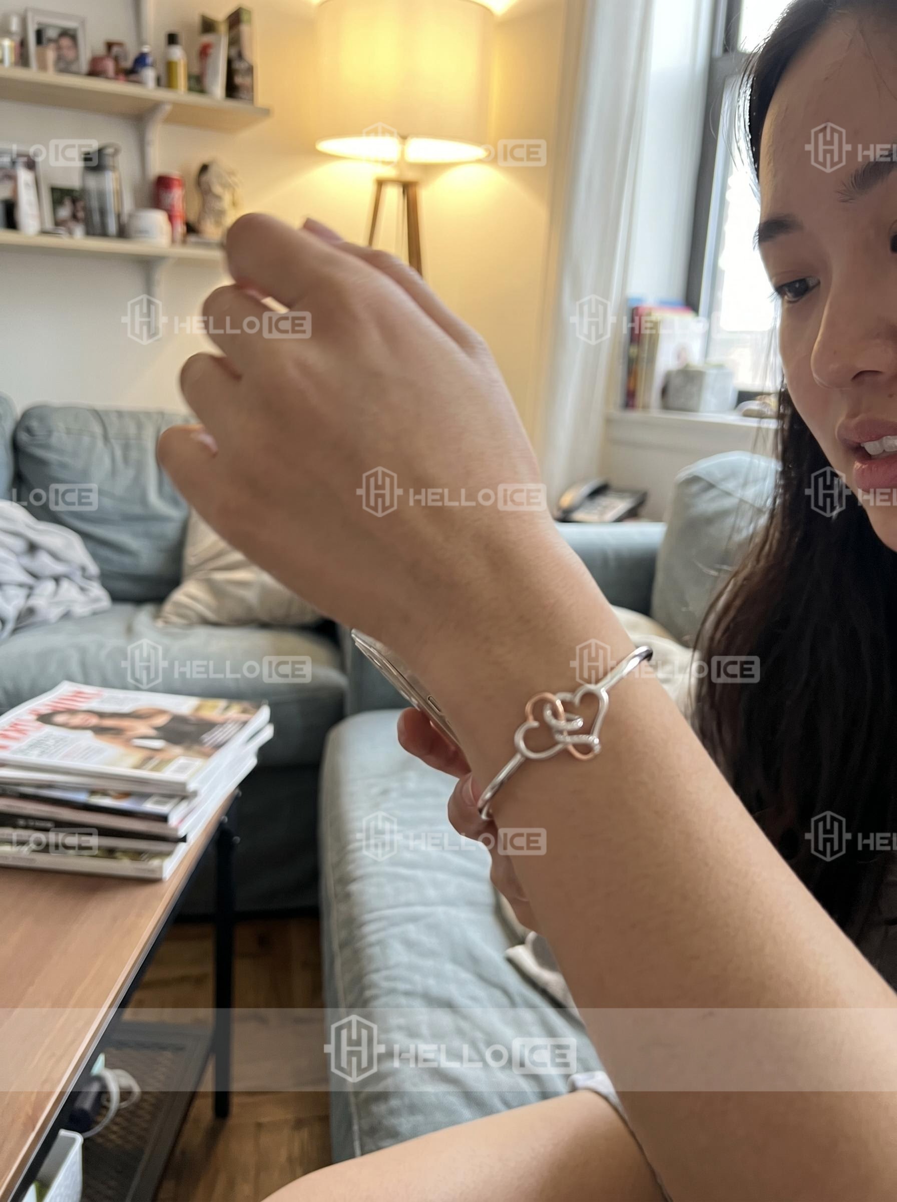 Helloice Review Image