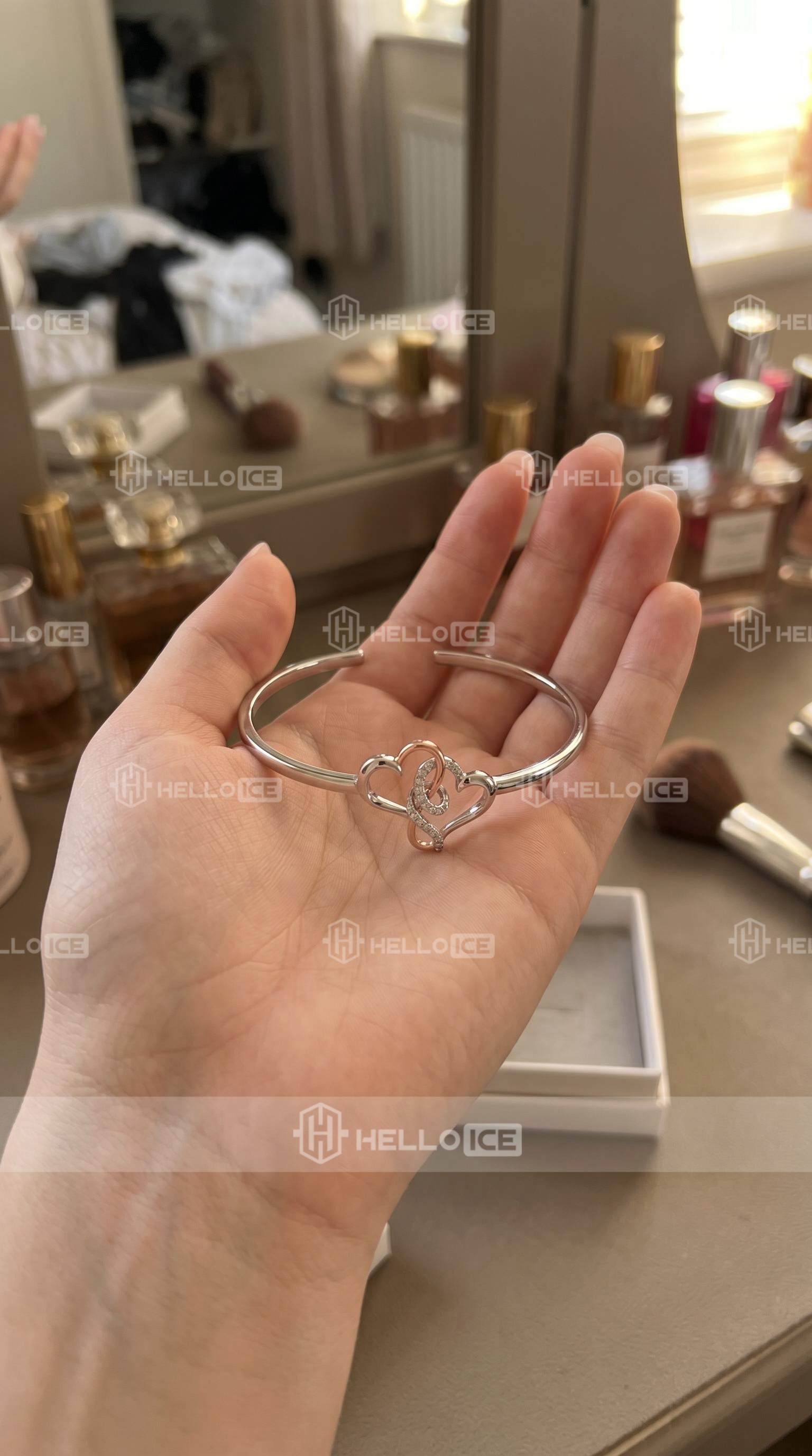 Helloice Review Image
