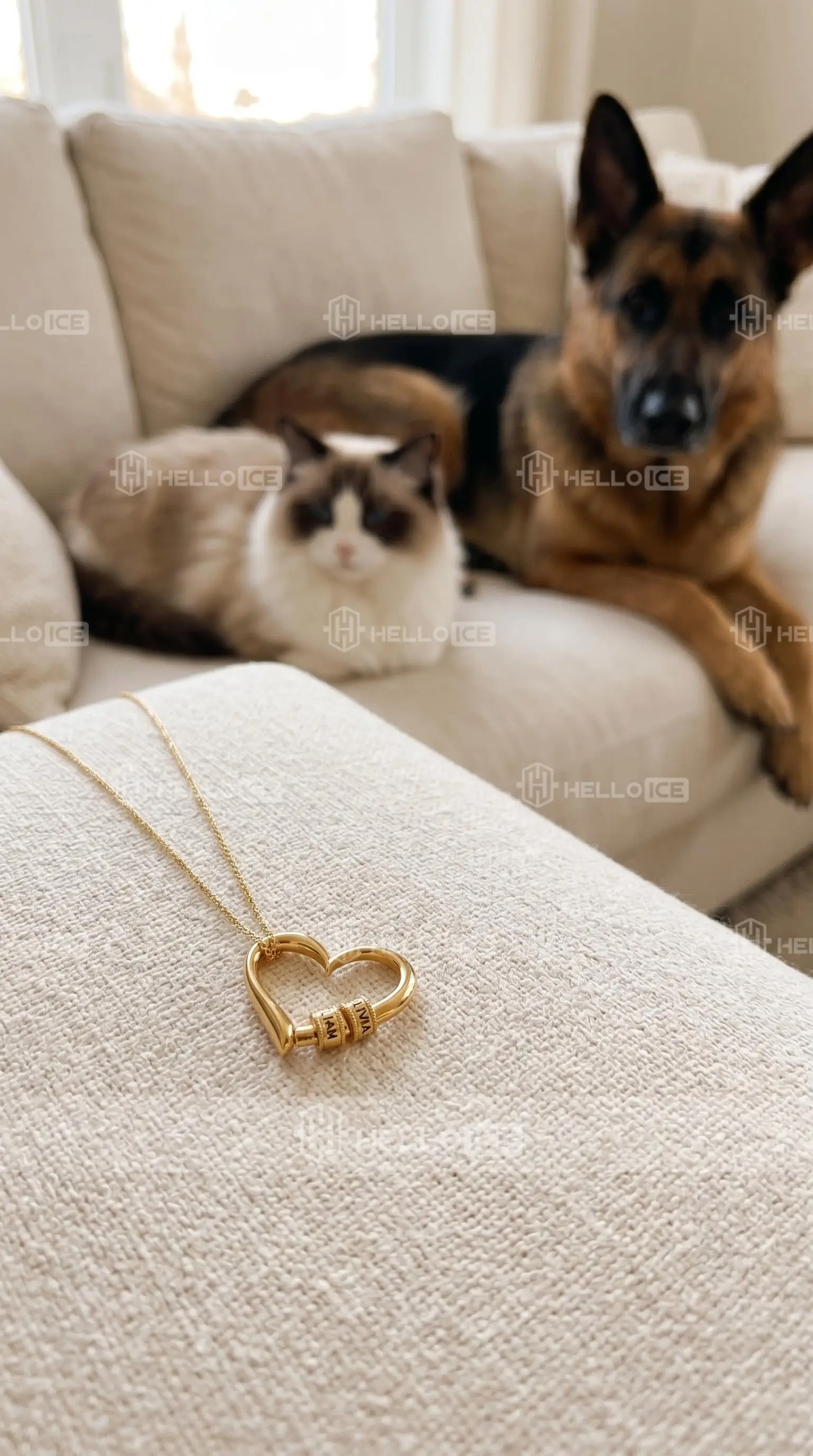 Helloice Review Image