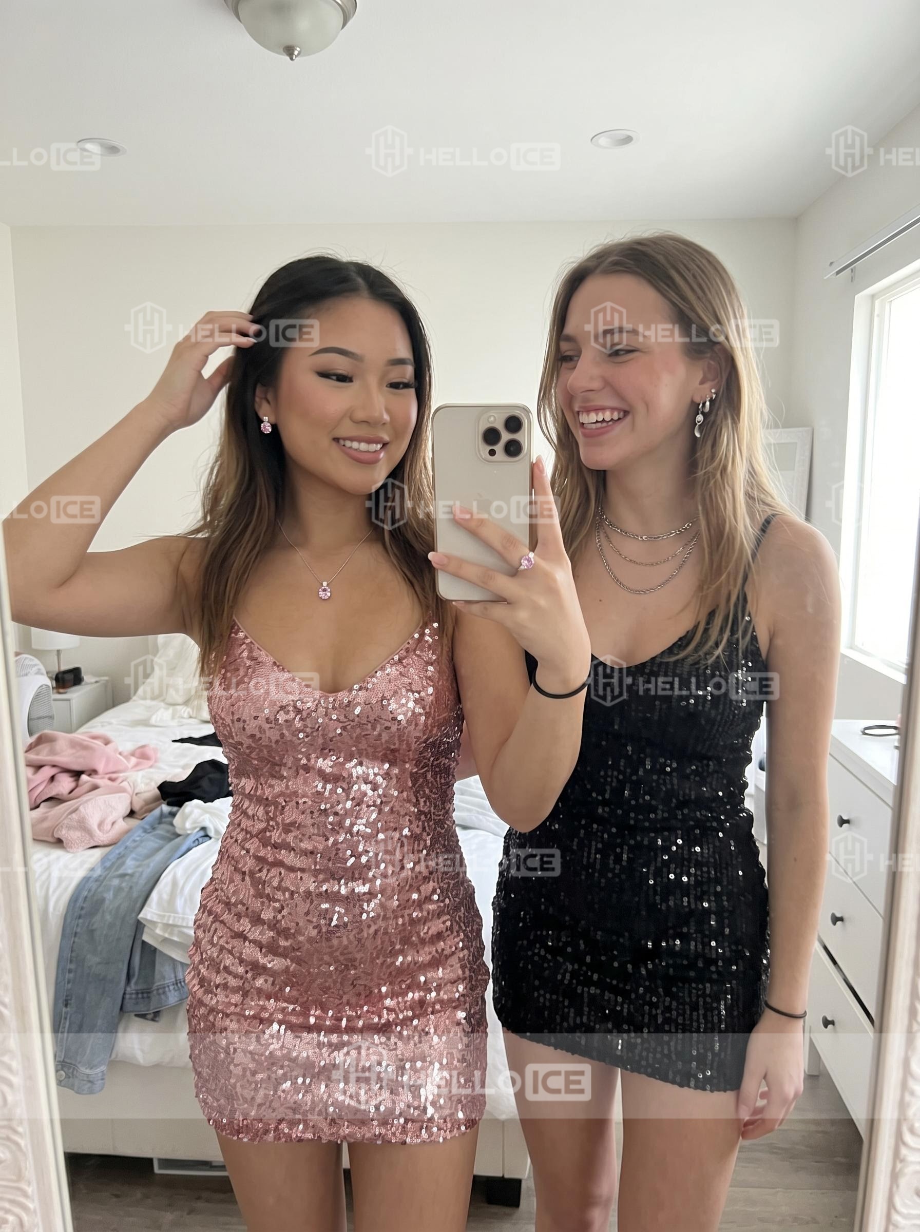 Helloice Review Image
