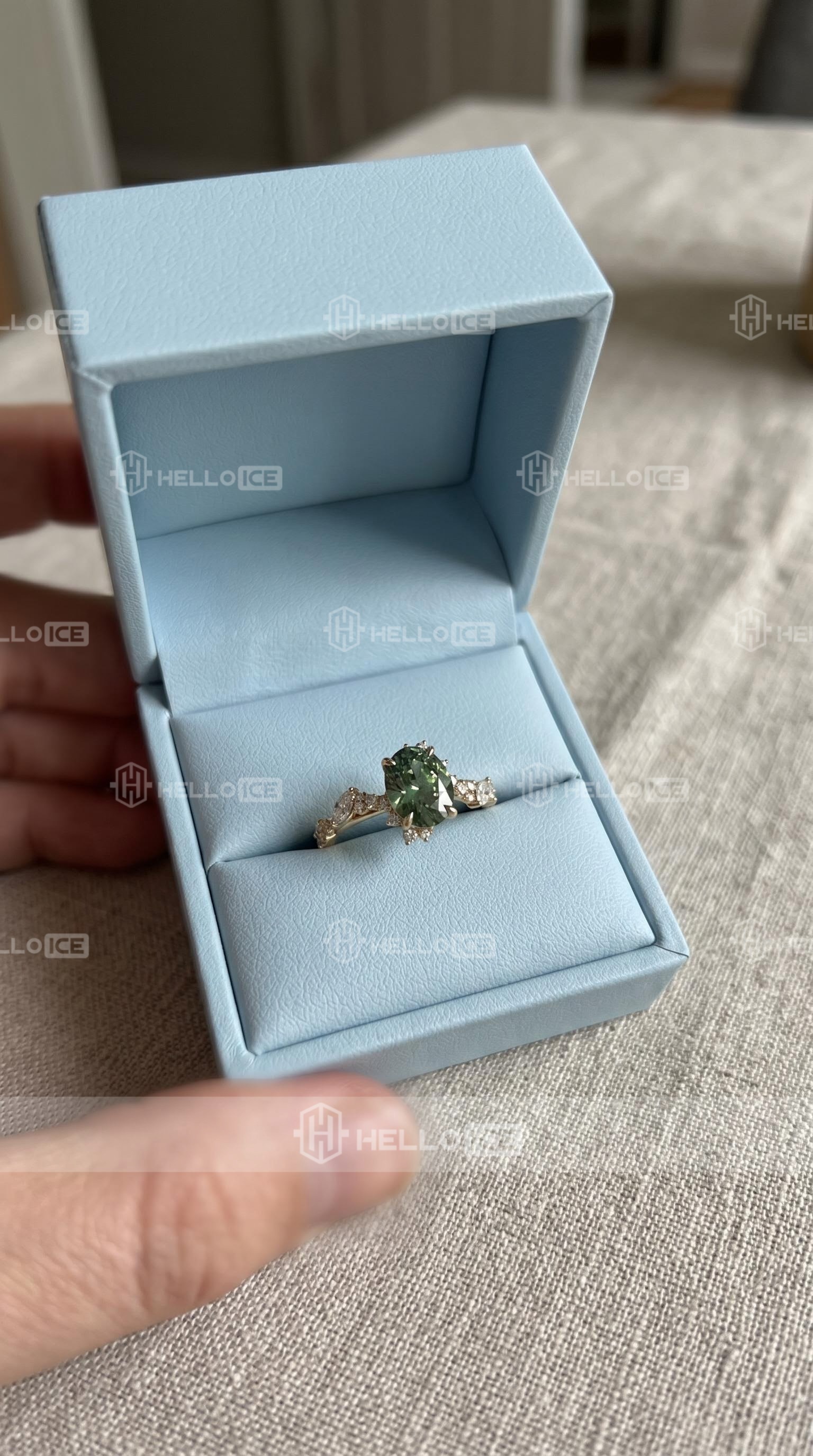 Helloice Review Image