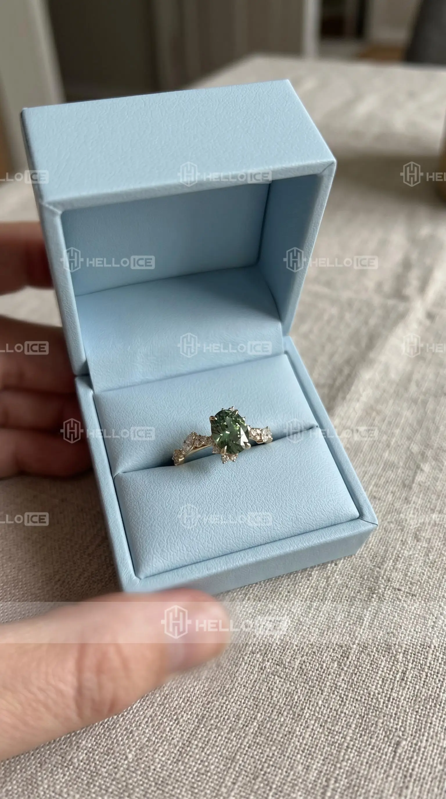 Helloice Review Image
