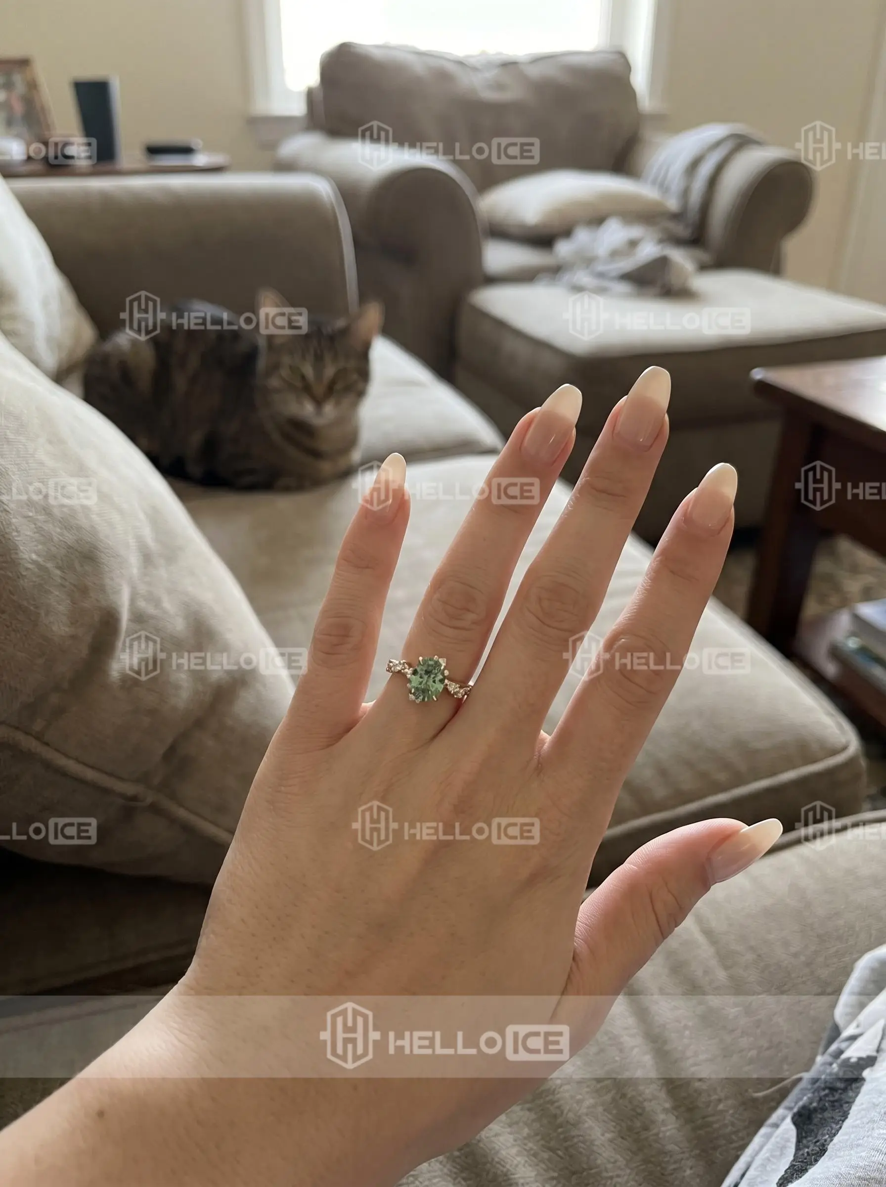 Helloice Review Image