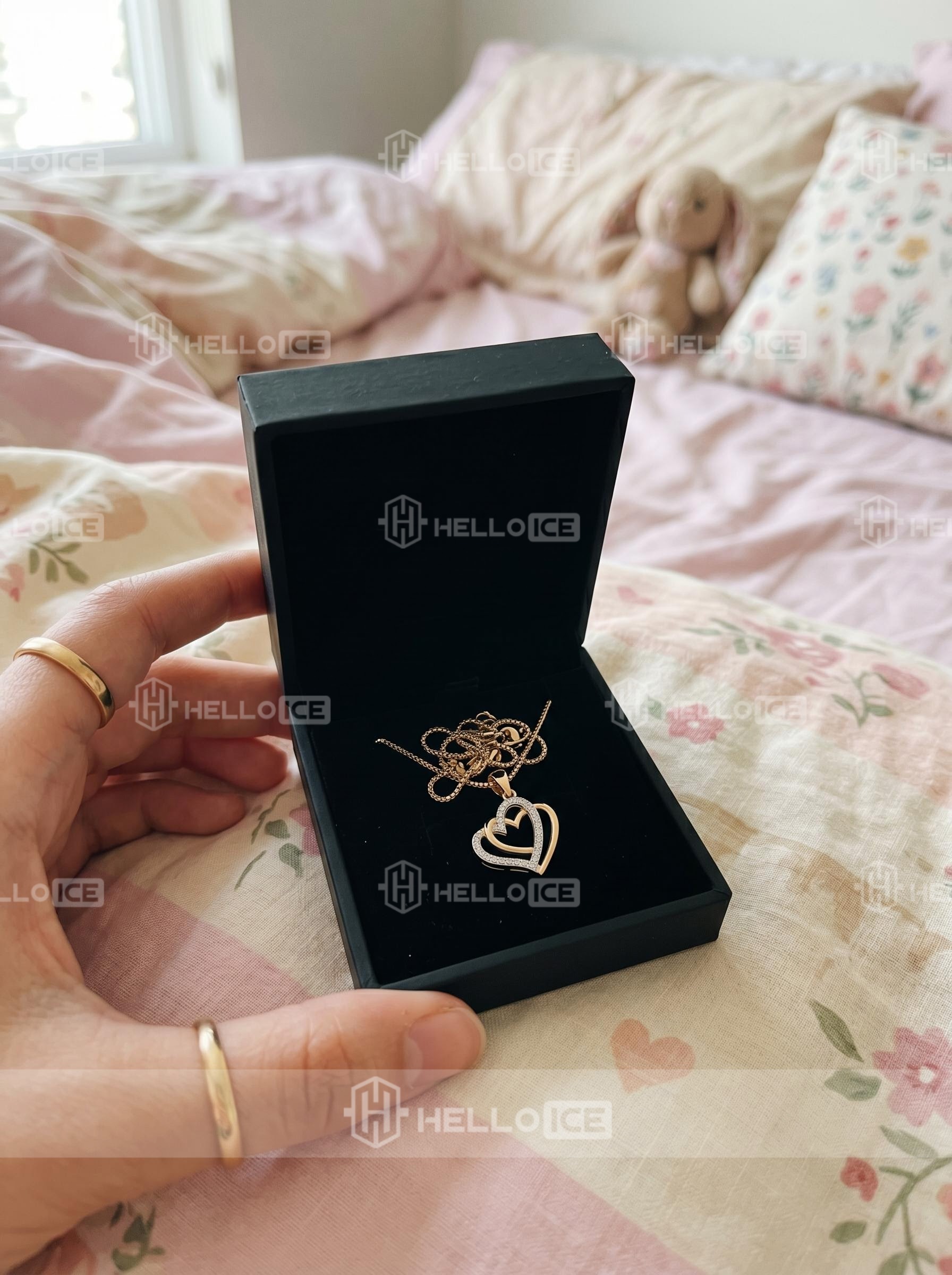 Helloice Review Image