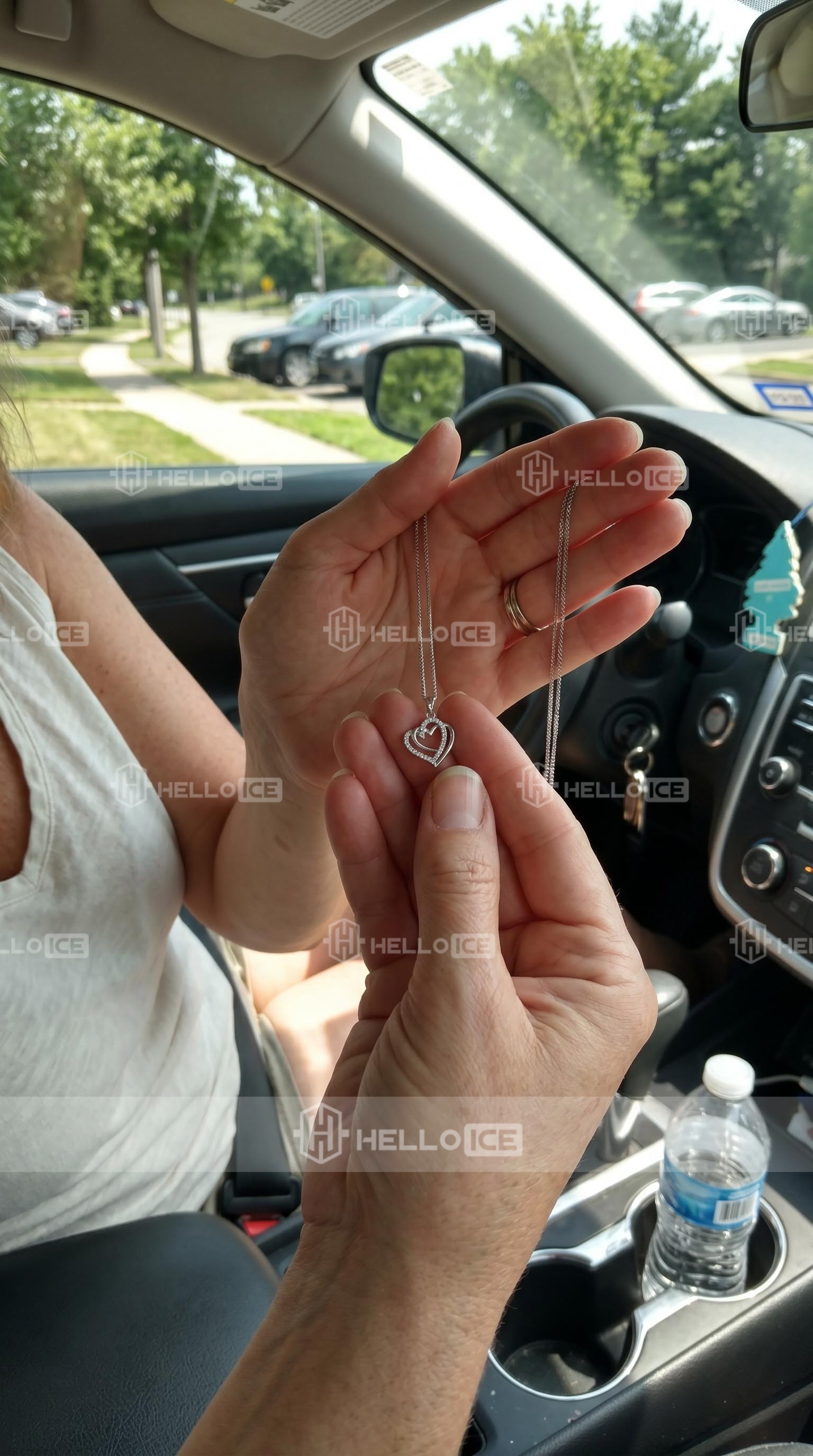 Helloice Review Image