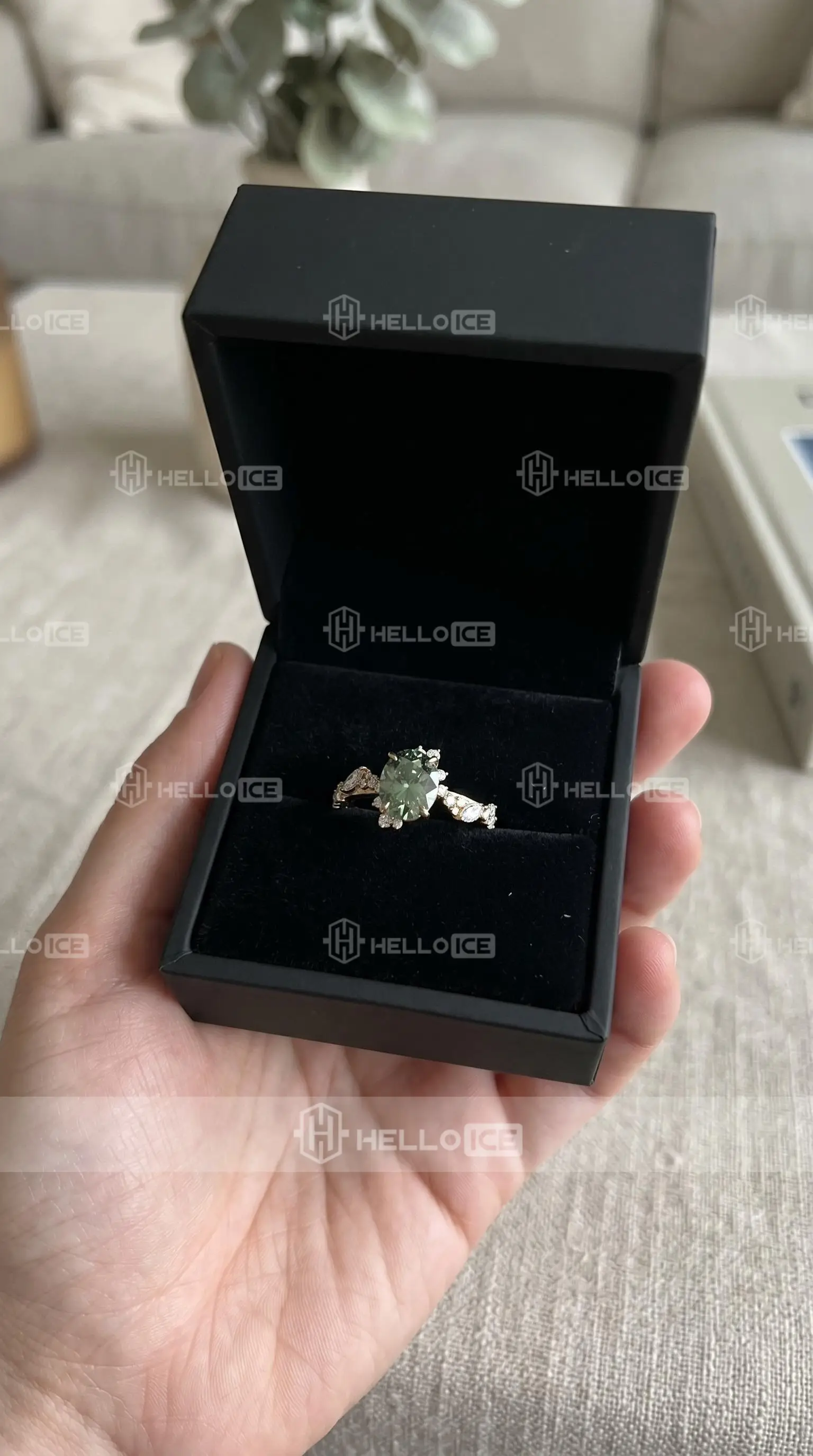 Helloice Review Image