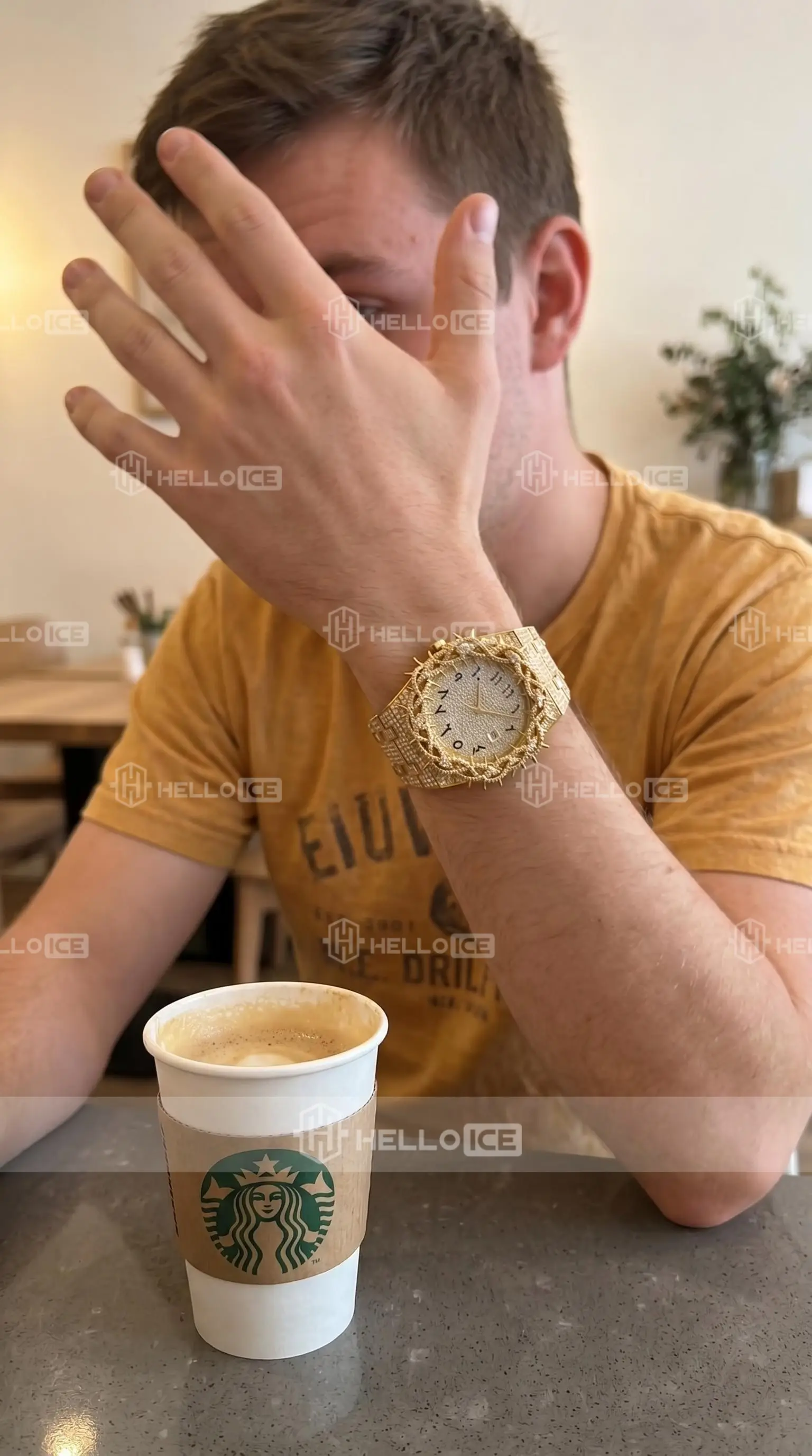 Helloice Review Image