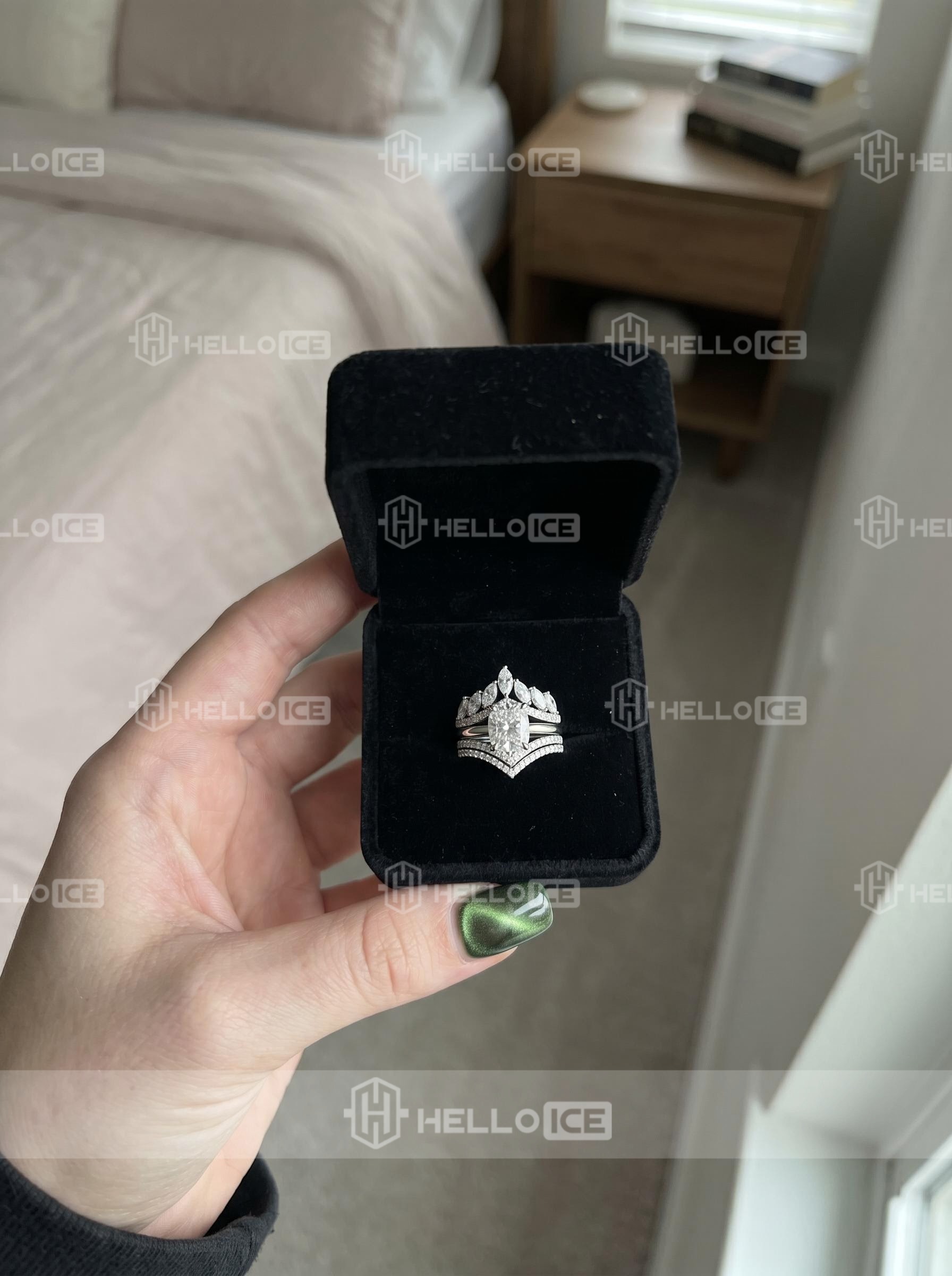 Helloice Review Image