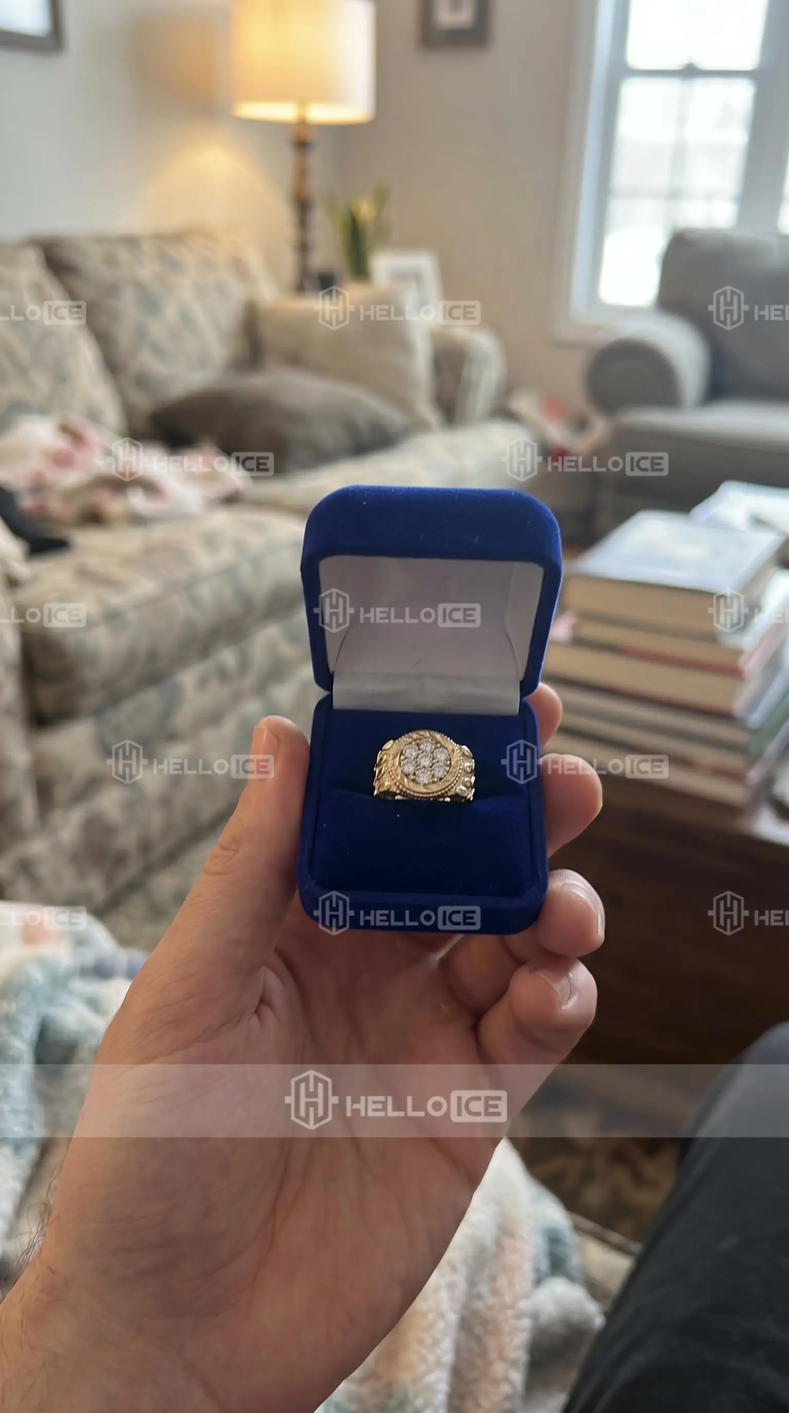 Helloice Review Image