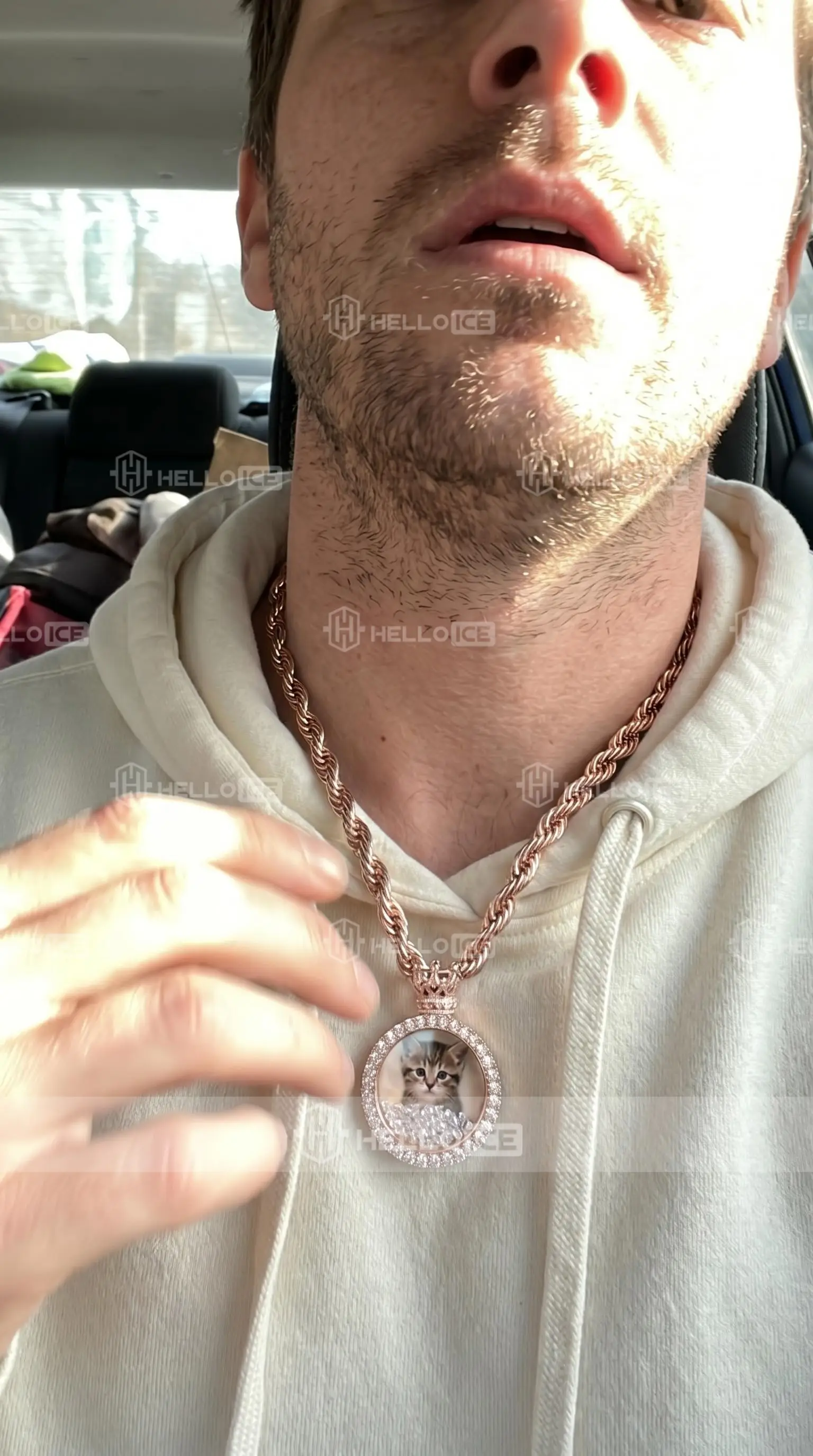 Helloice Review Image