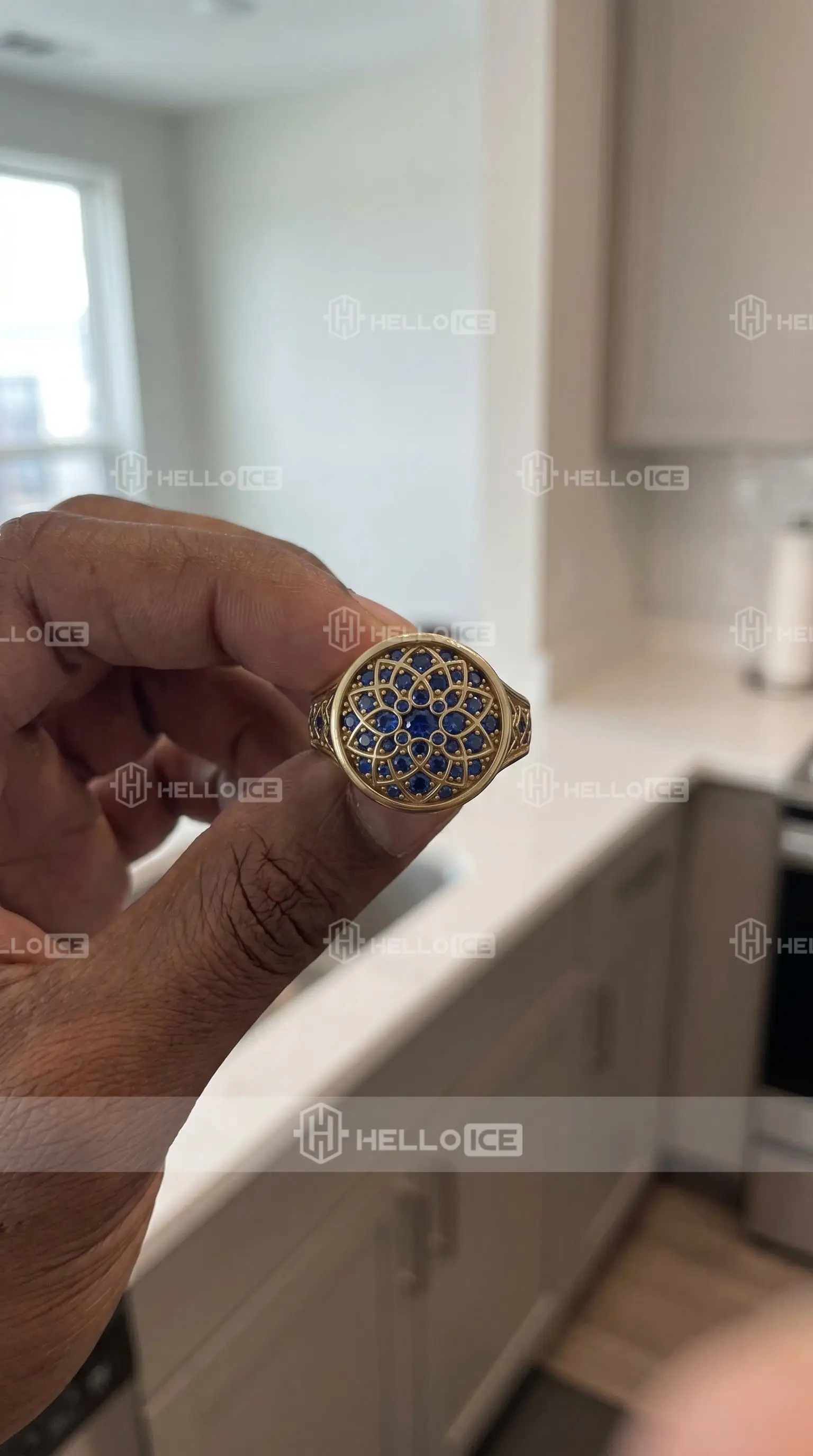 Helloice Review Image