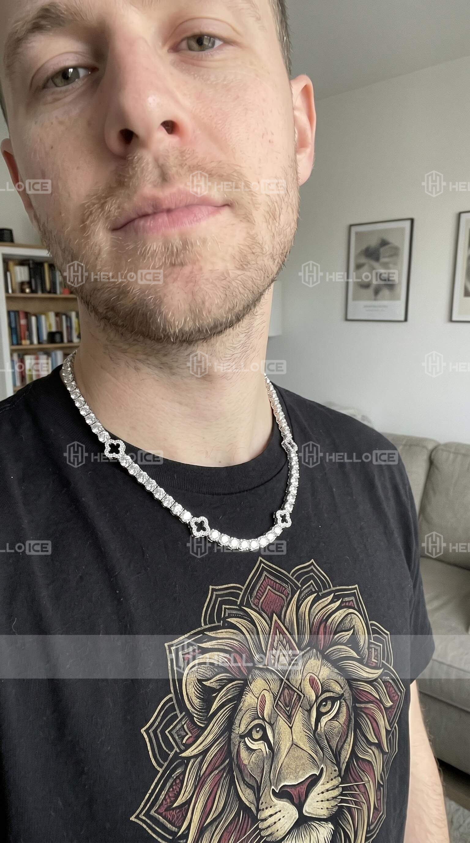 Helloice Review Image