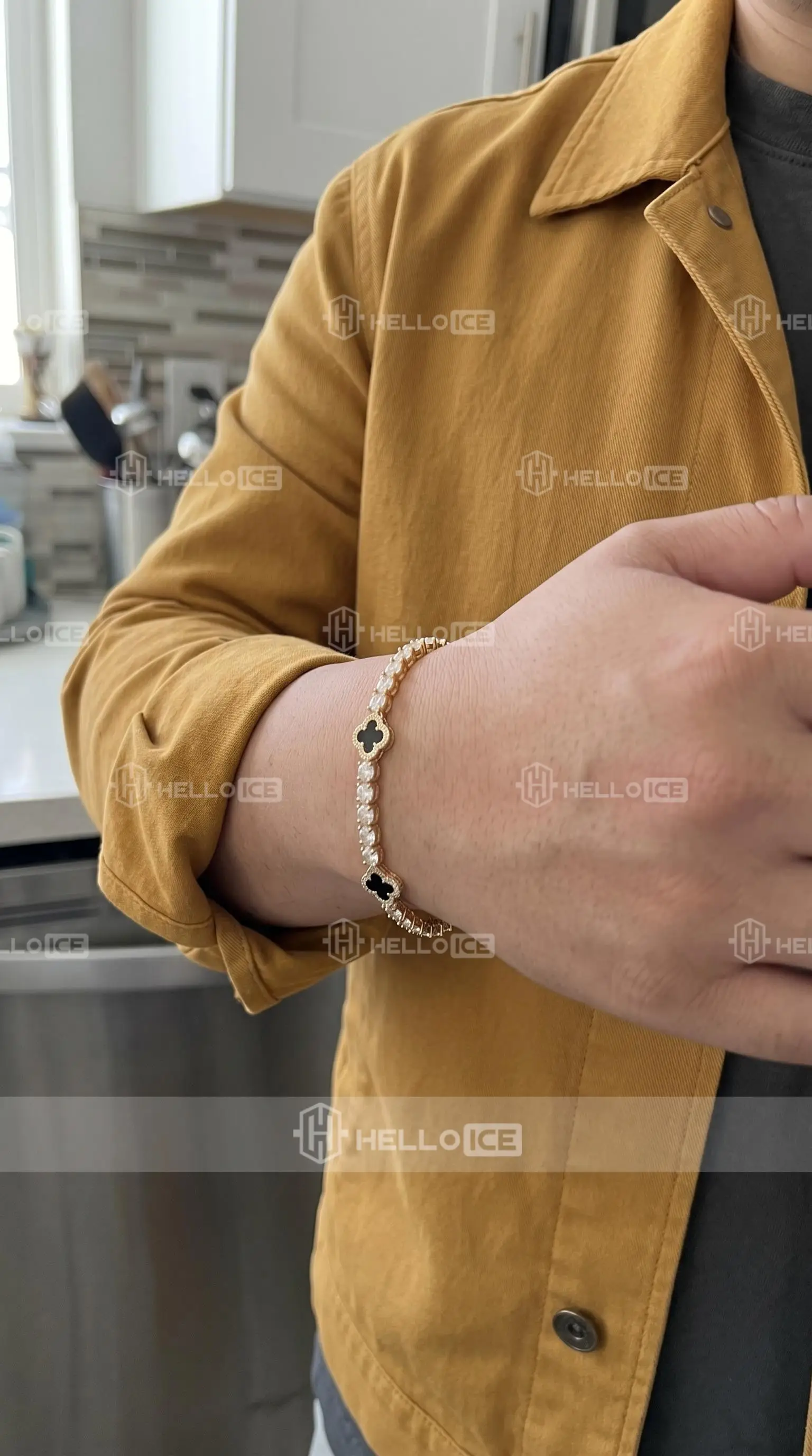 Helloice Review Image