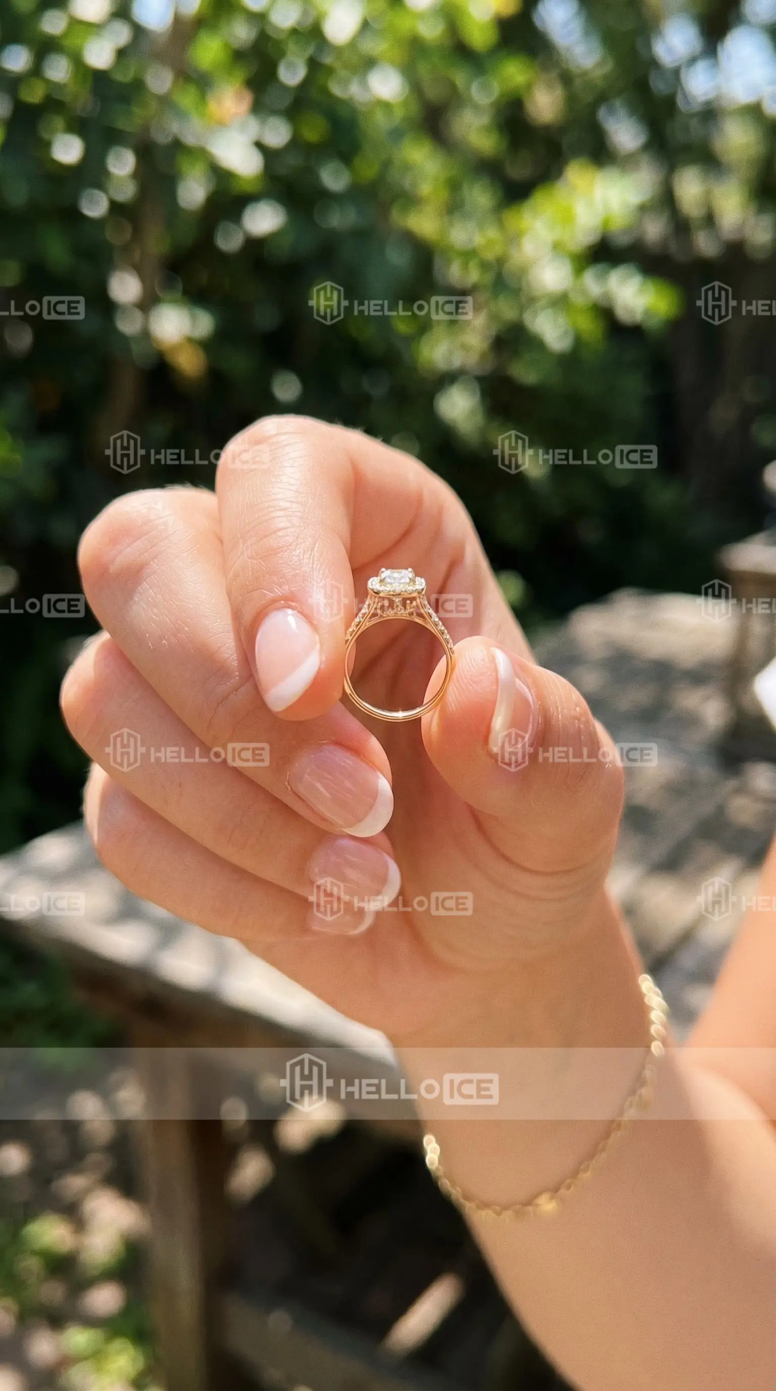 Helloice Review Image