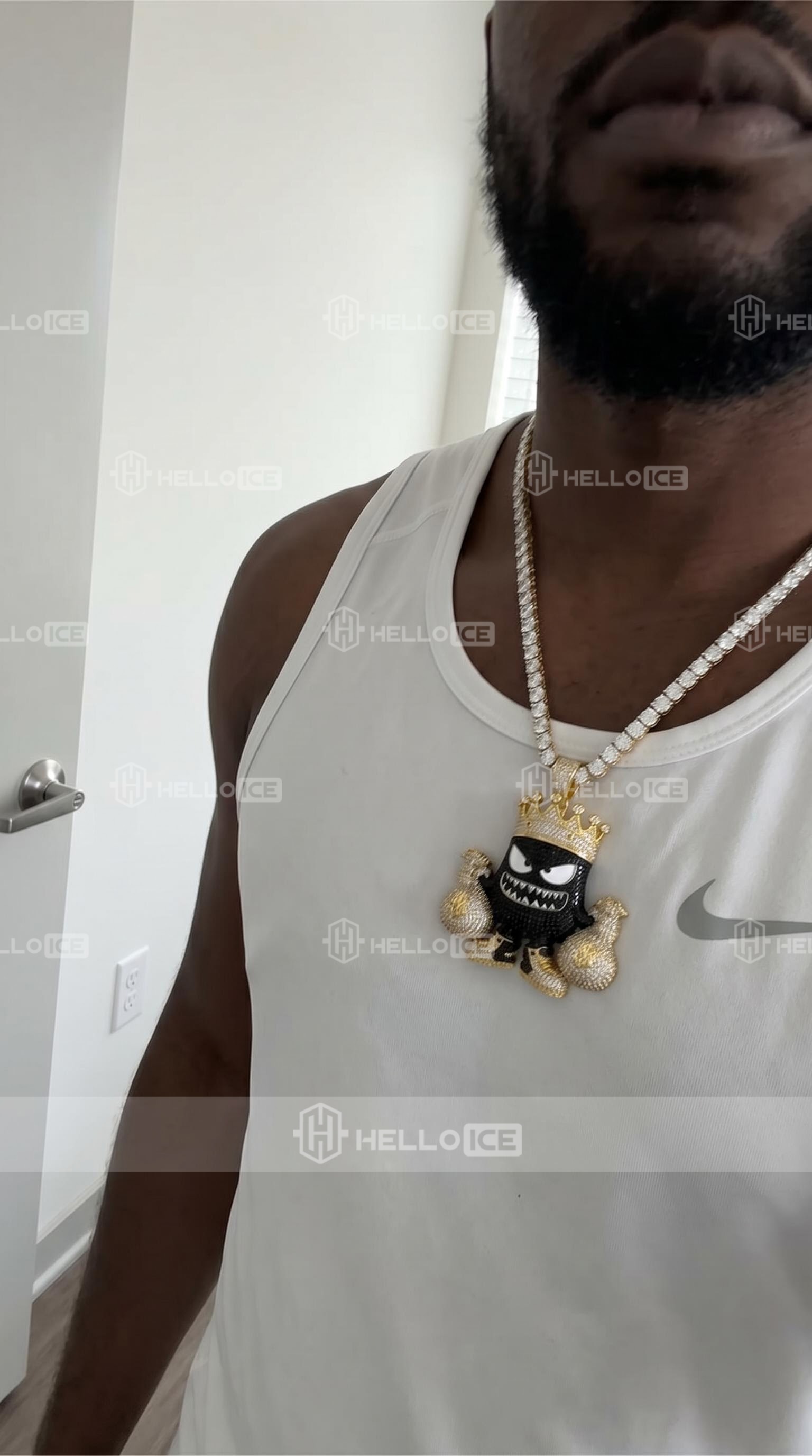 Helloice Review Image