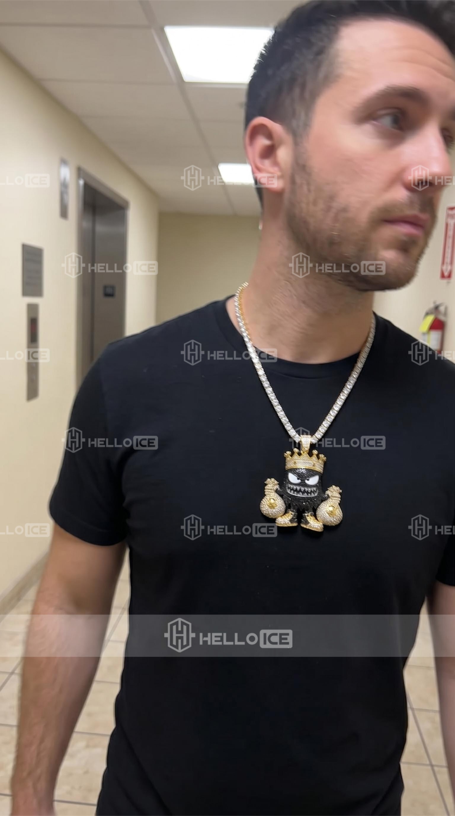Helloice Review Image