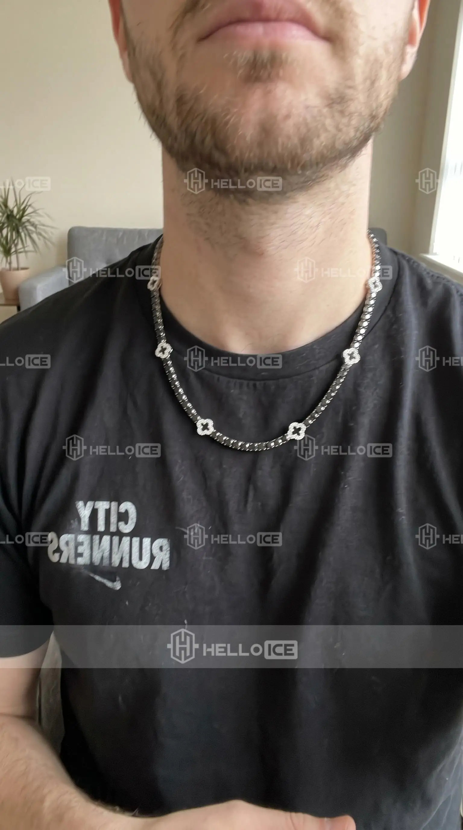Helloice Review Image