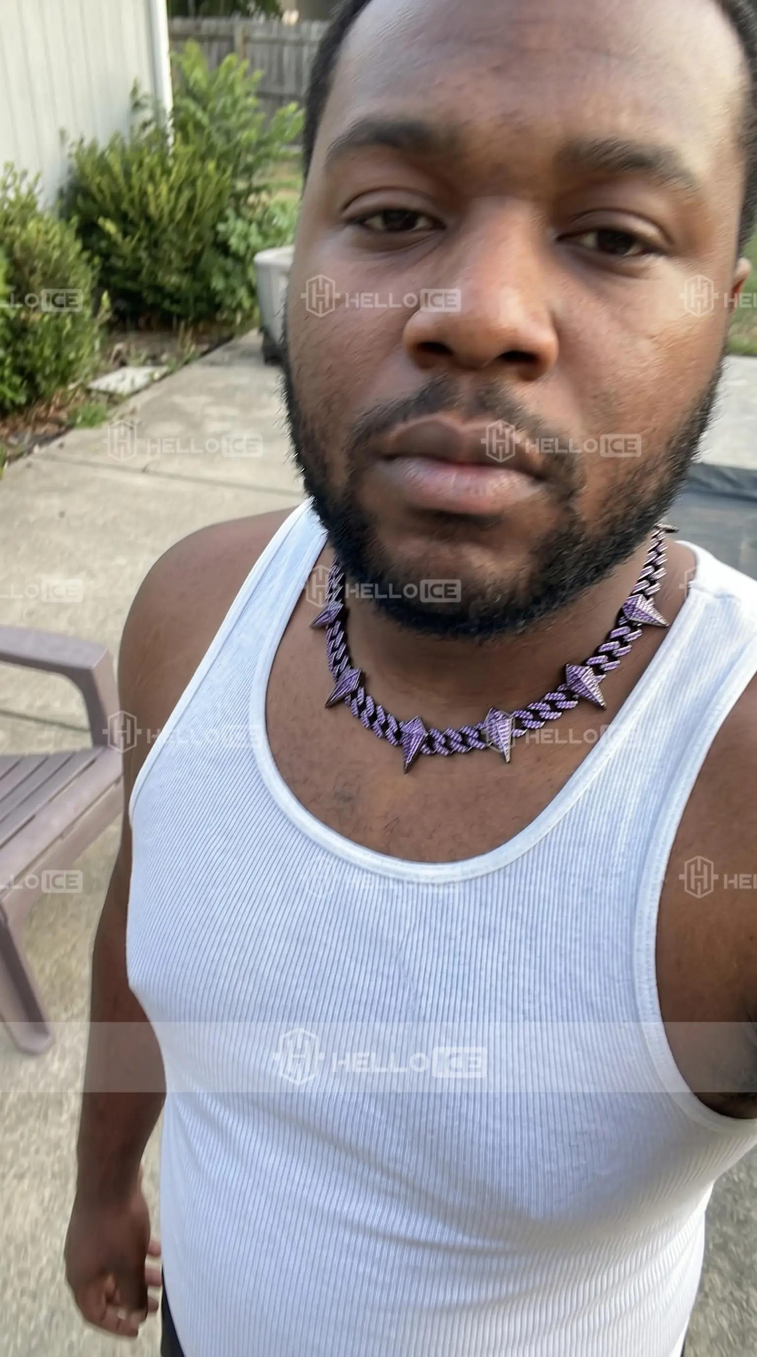 Helloice Review Image