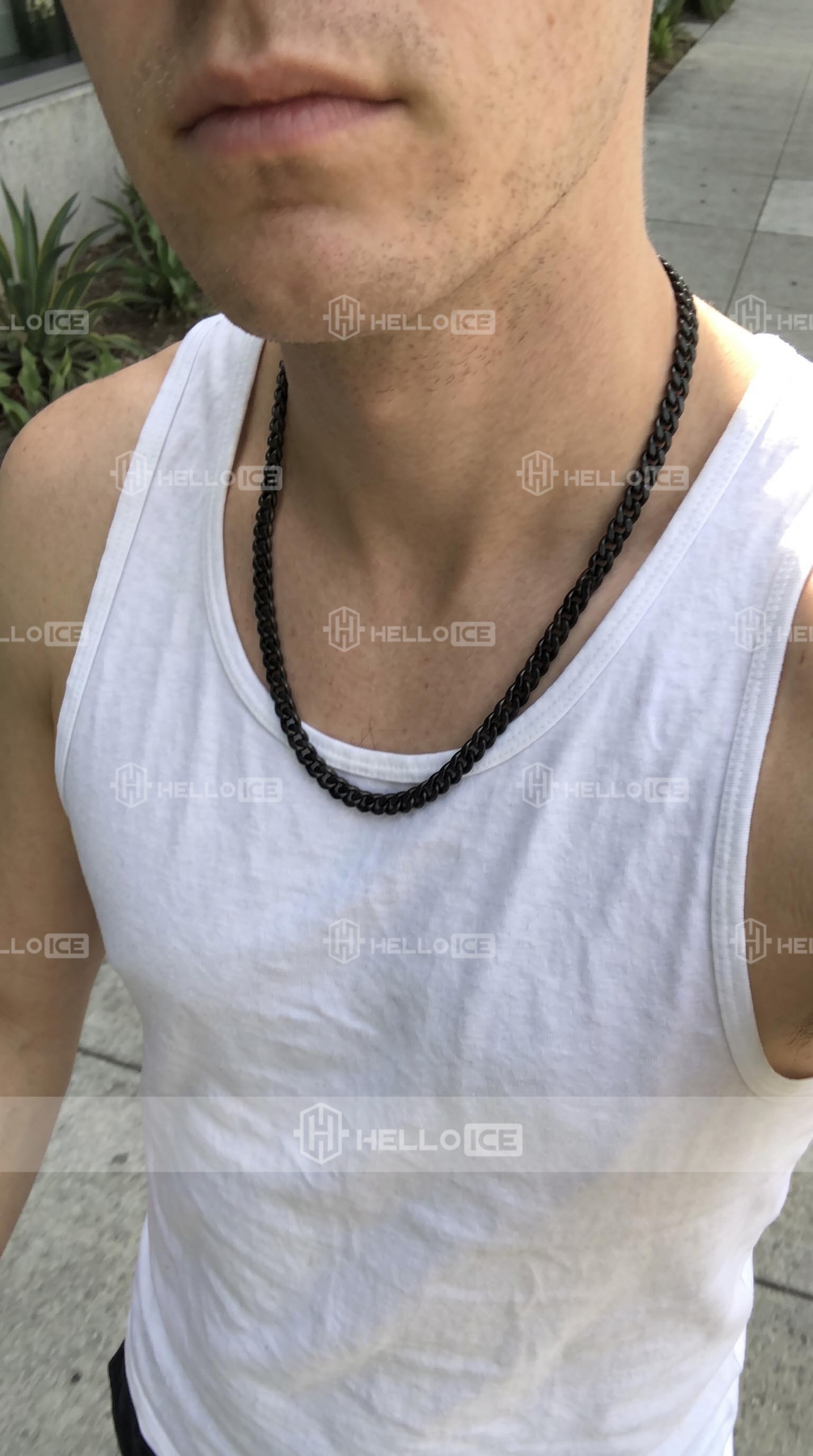 Helloice Review Image