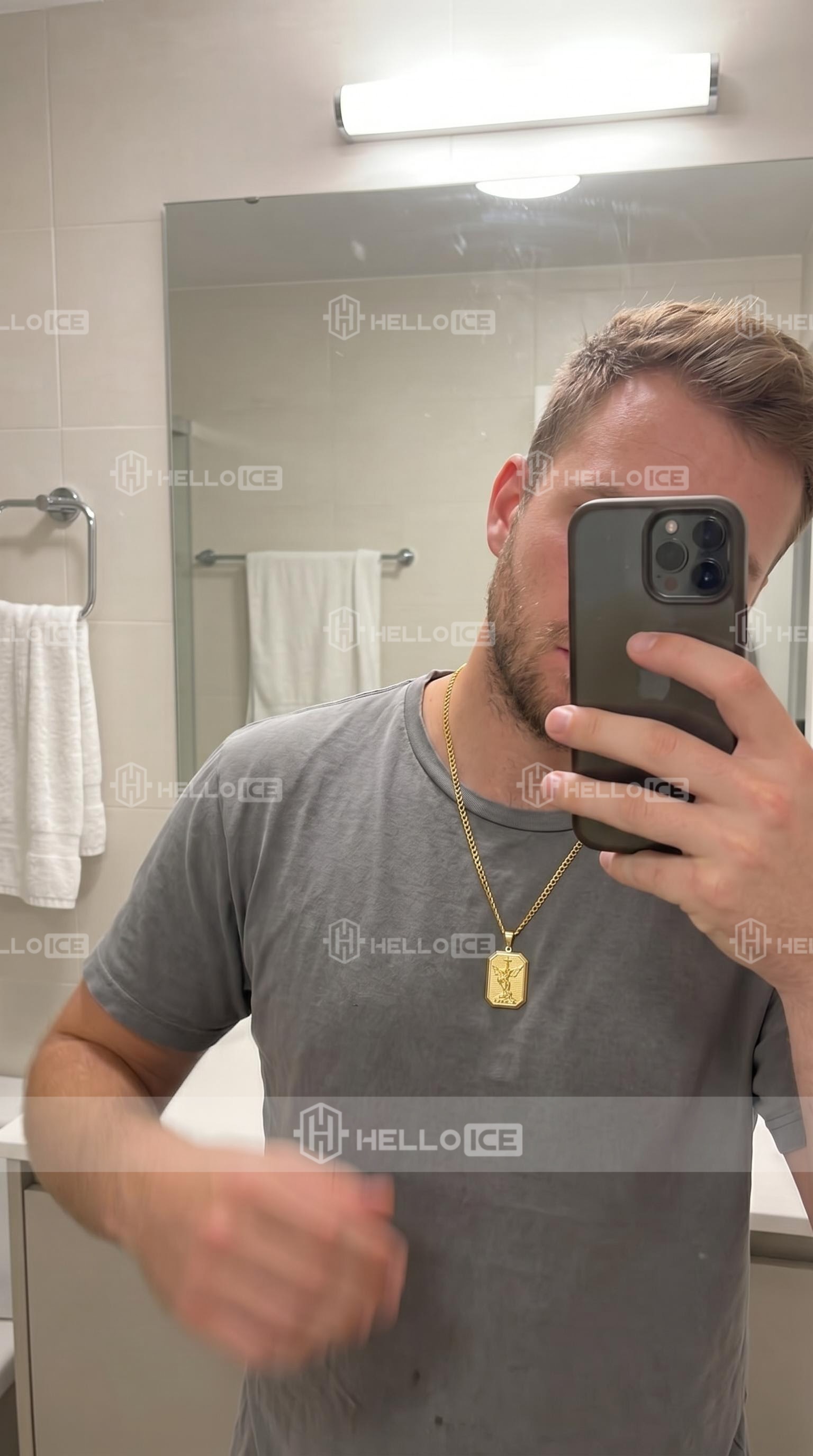 Helloice Review Image