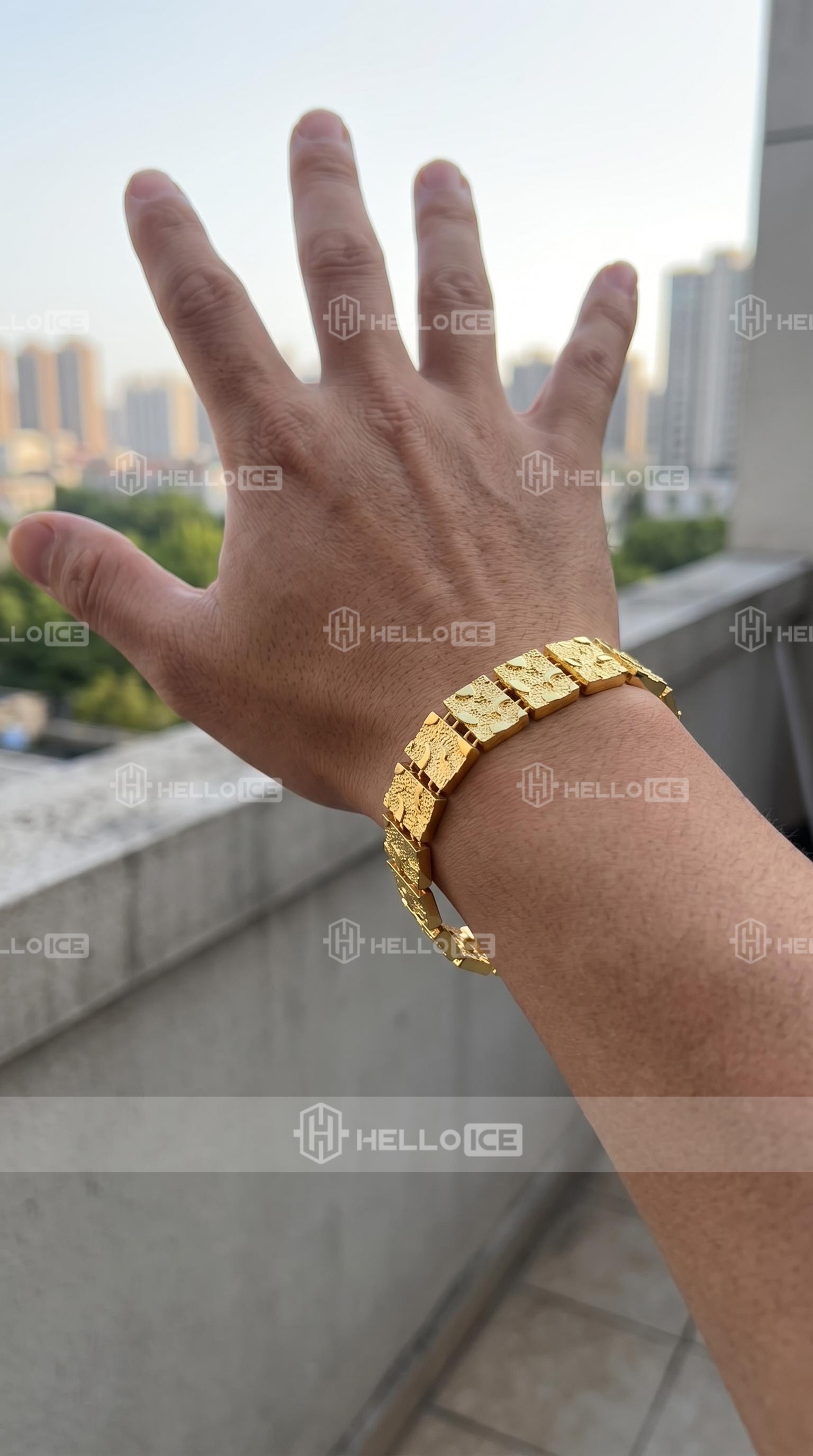 Helloice Review Image