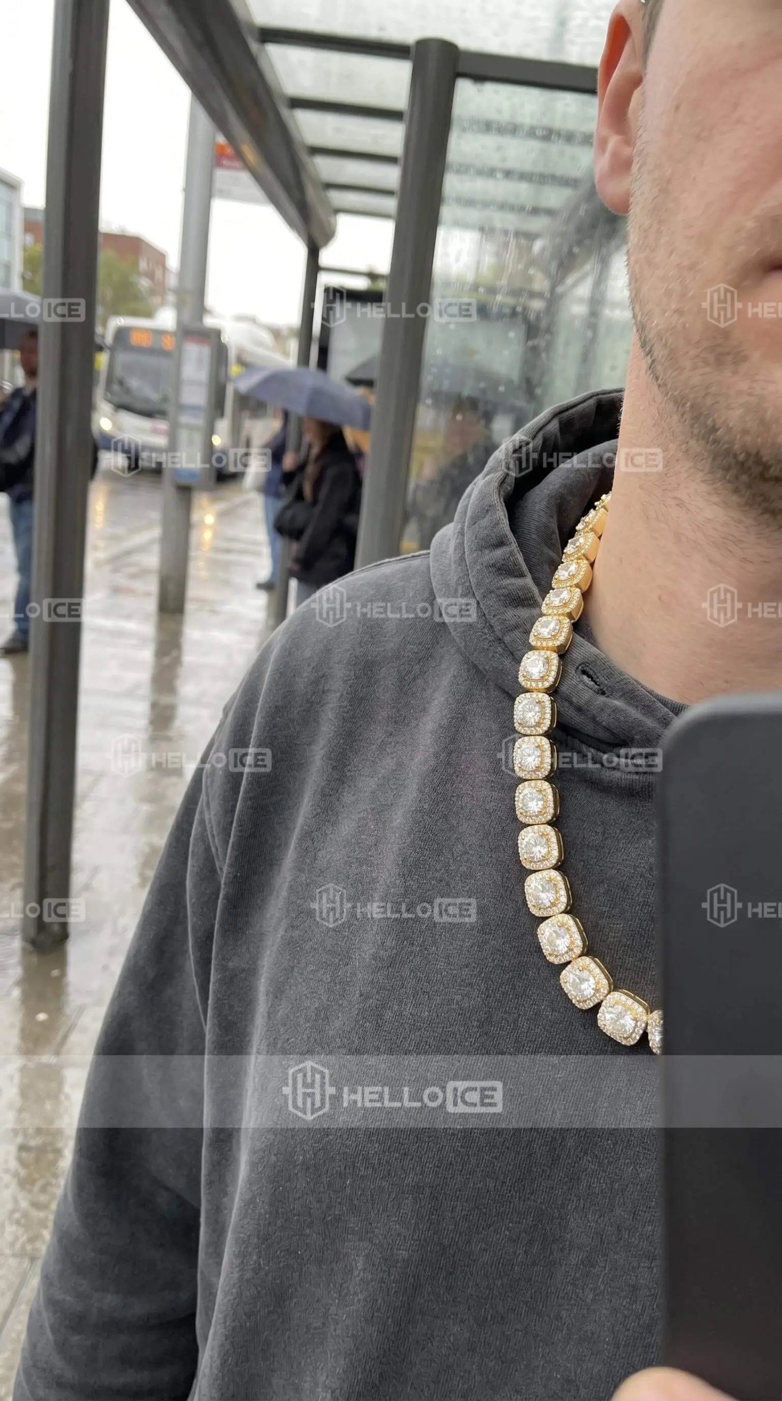 Helloice Review Image