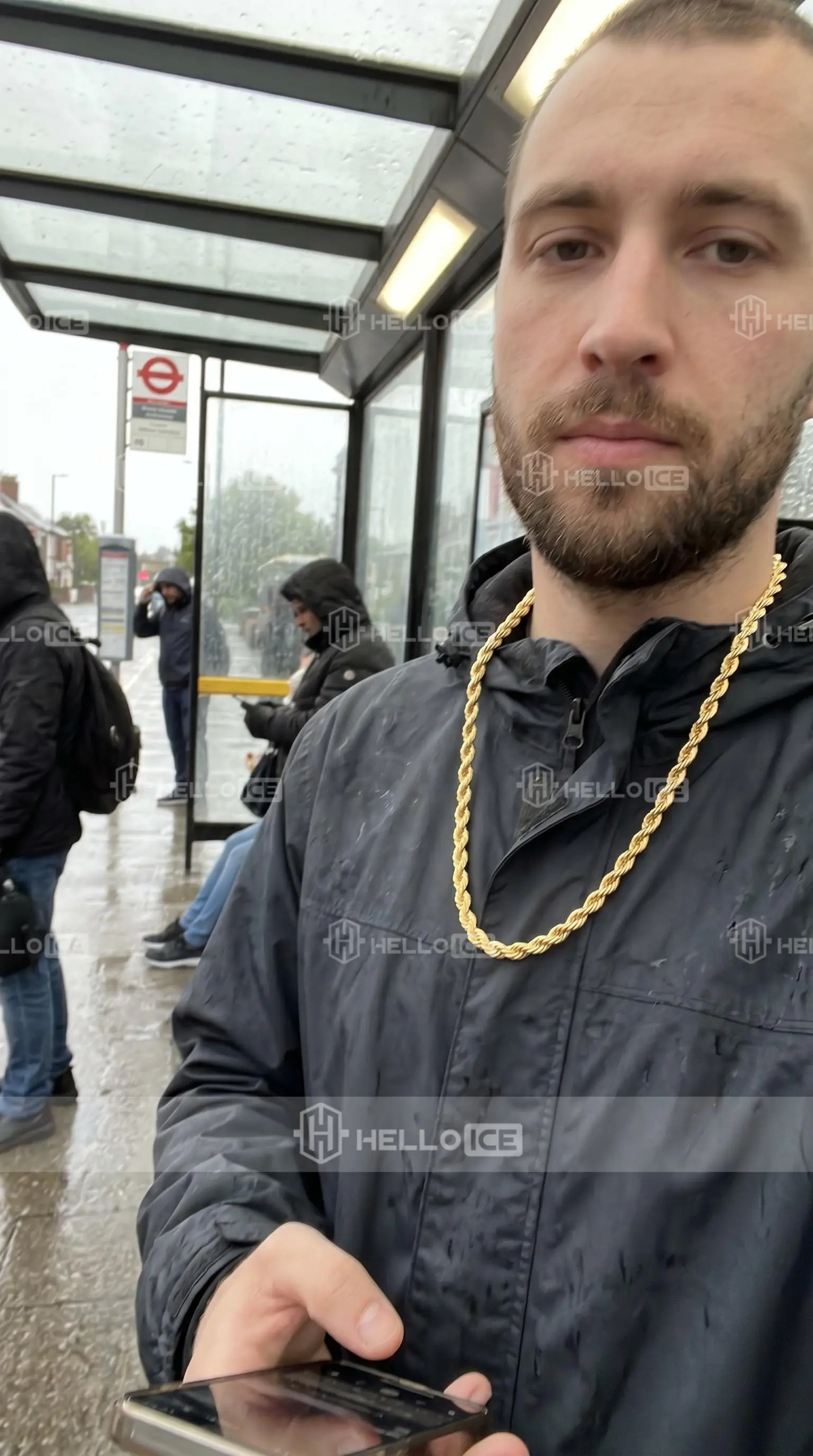 Helloice Review Image