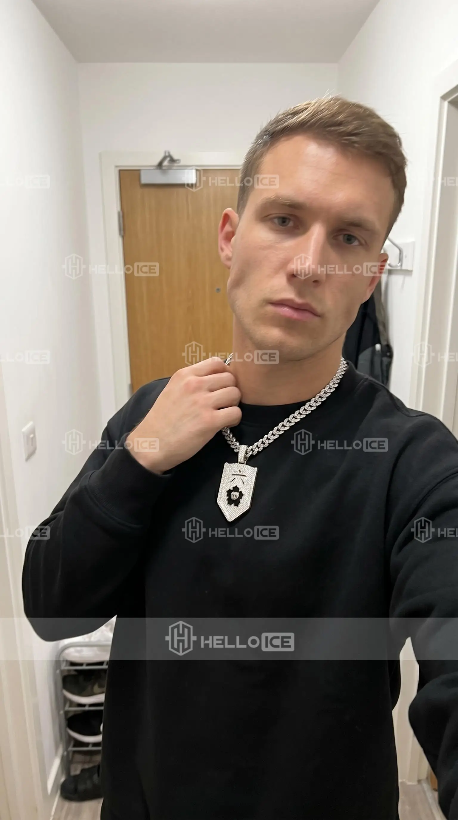 Helloice Review Image