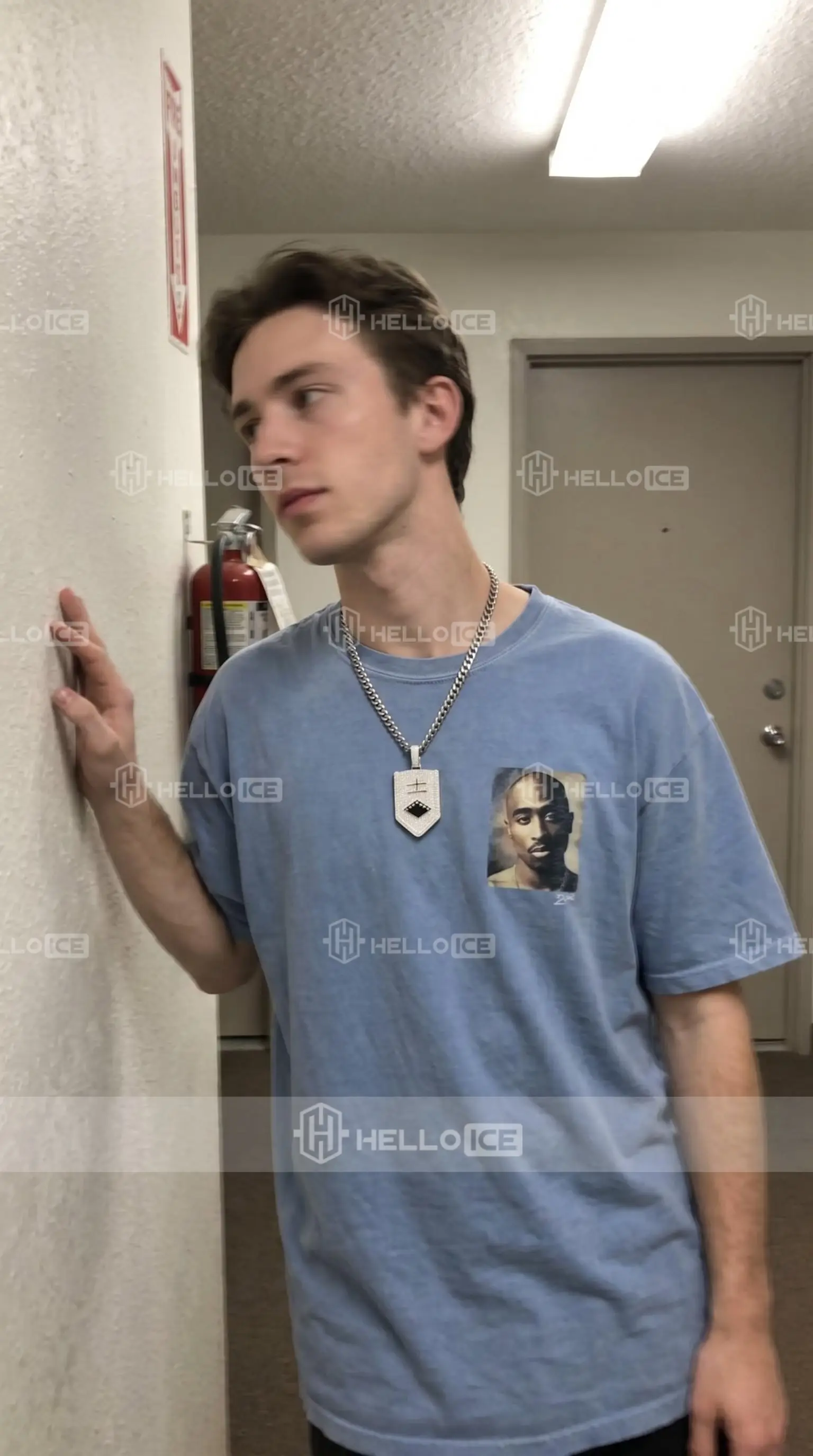 Helloice Review Image