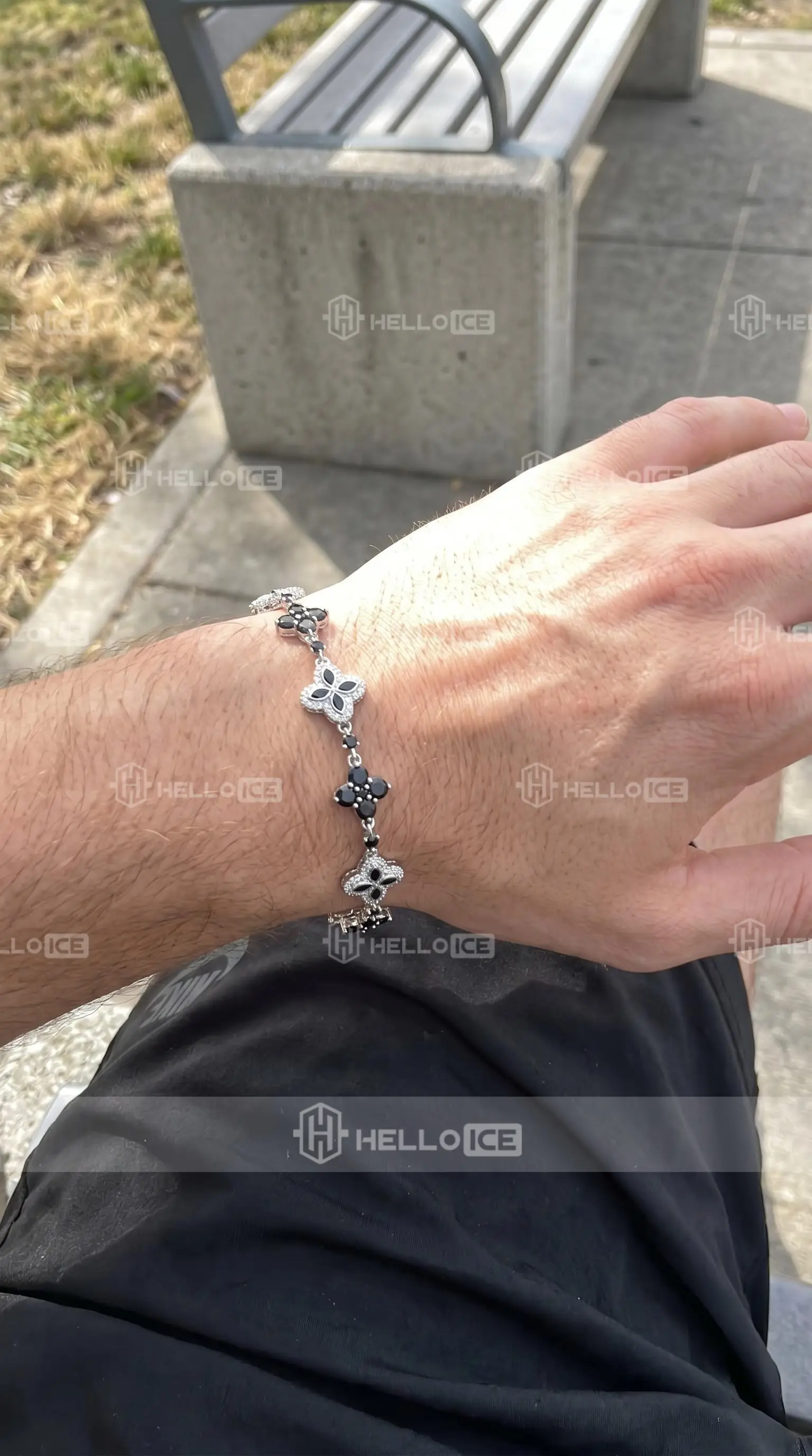 Helloice Review Image