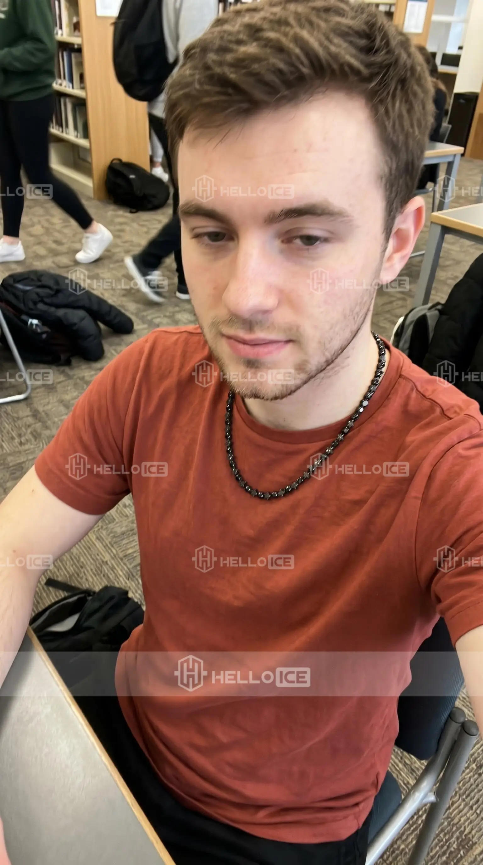 Helloice Review Image