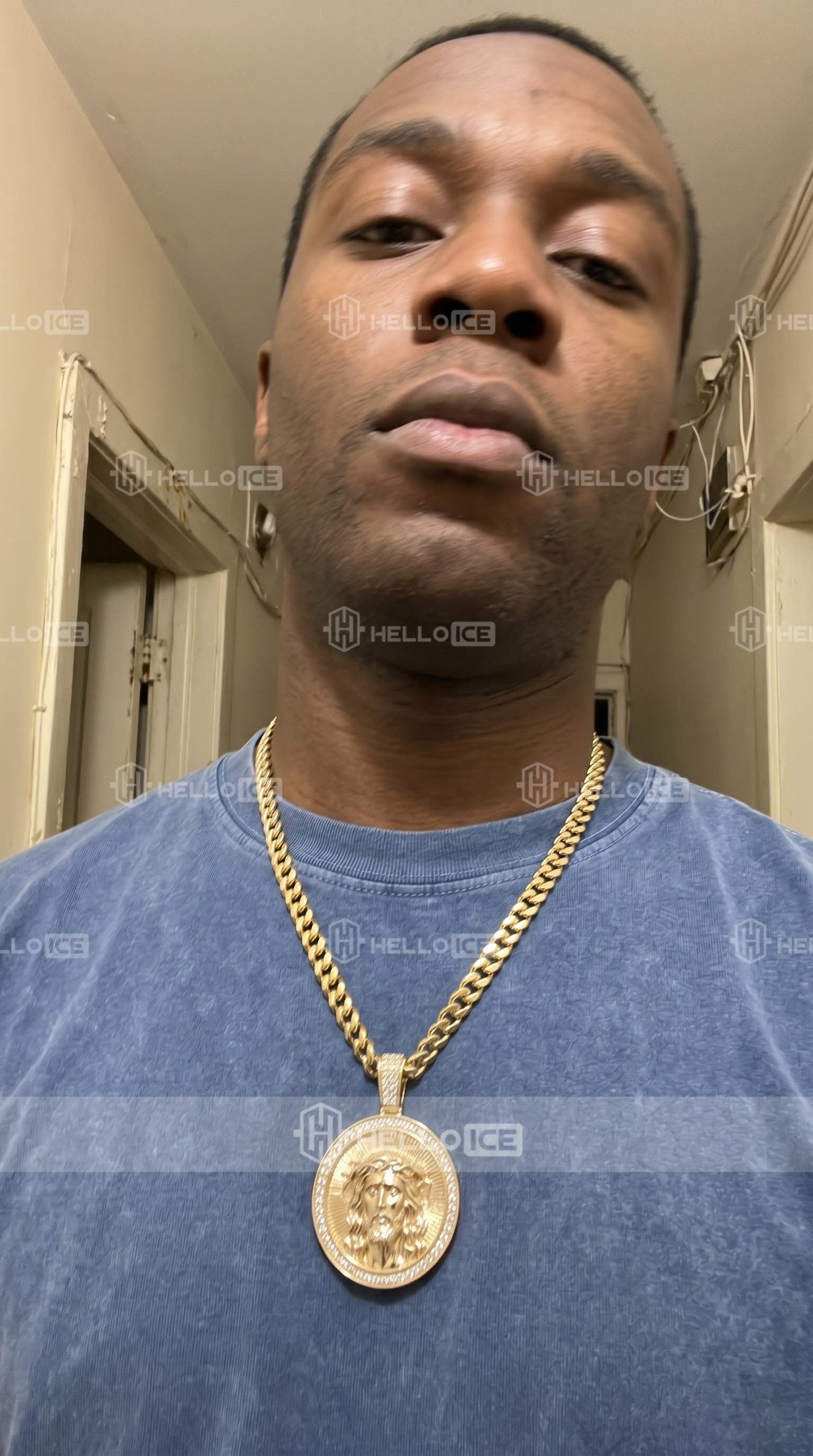 Helloice Review Image