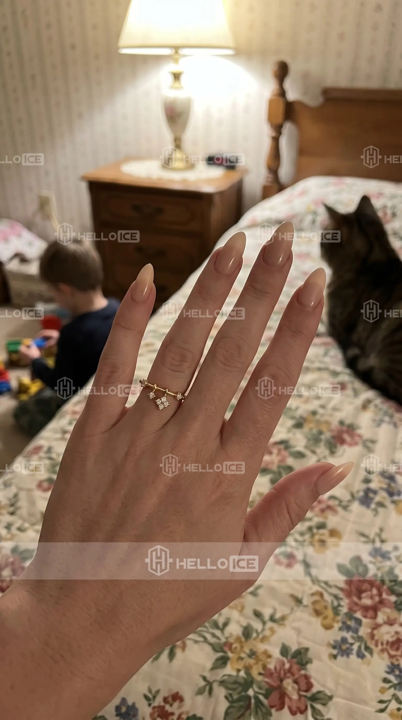 Helloice Review Image