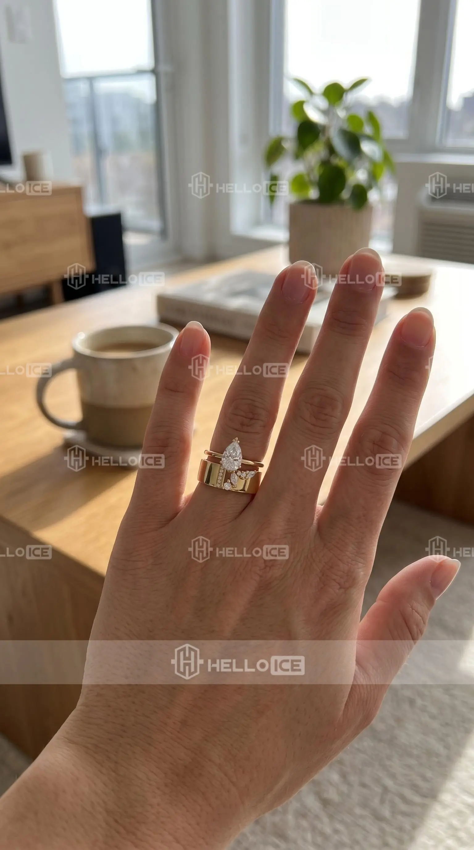Helloice Review Image