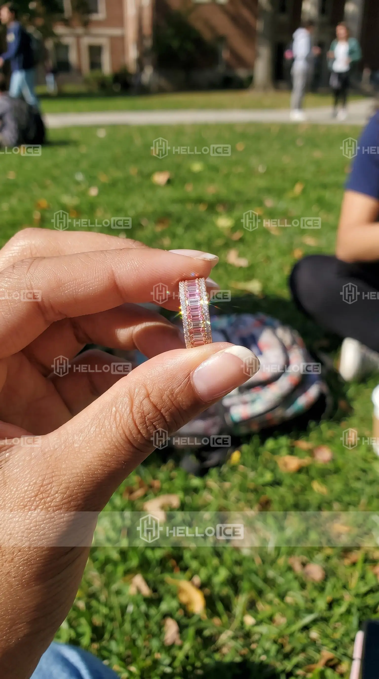 Helloice Review Image