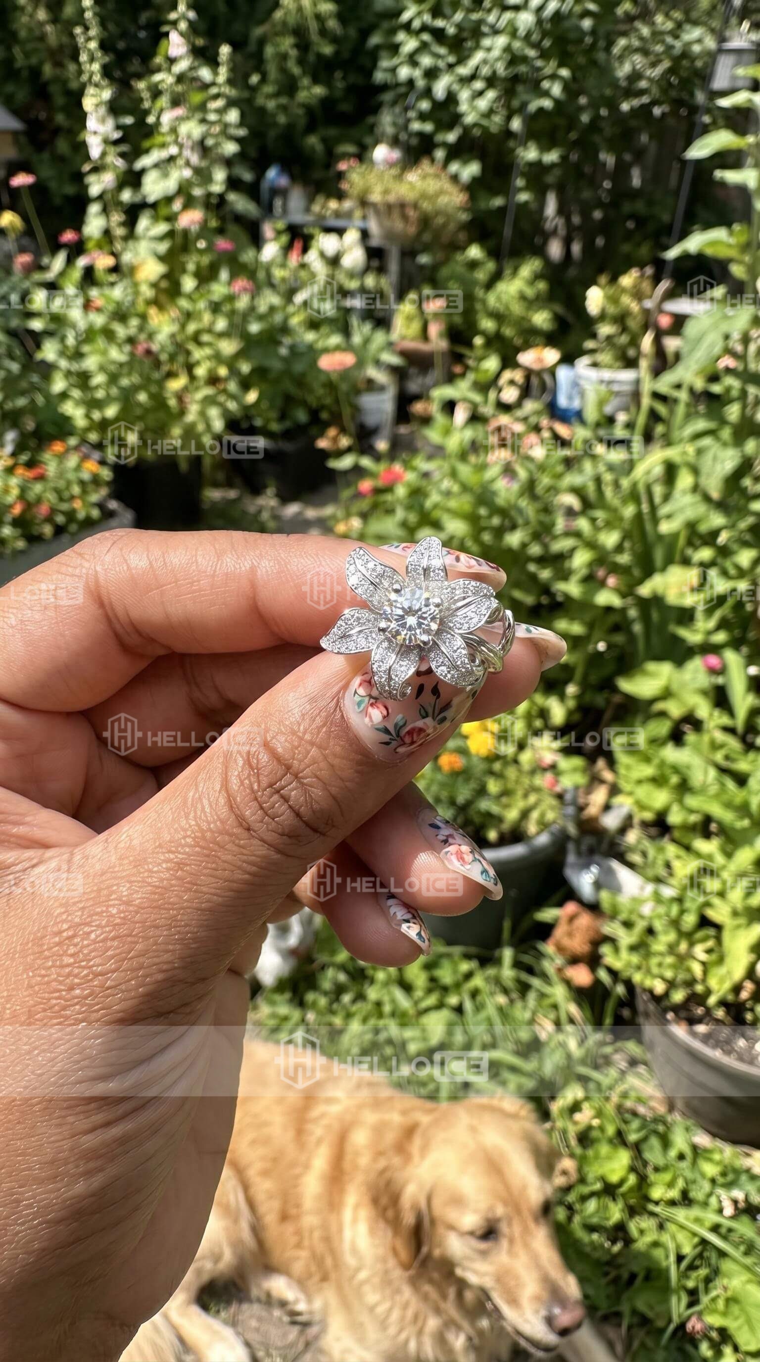 Helloice Review Image