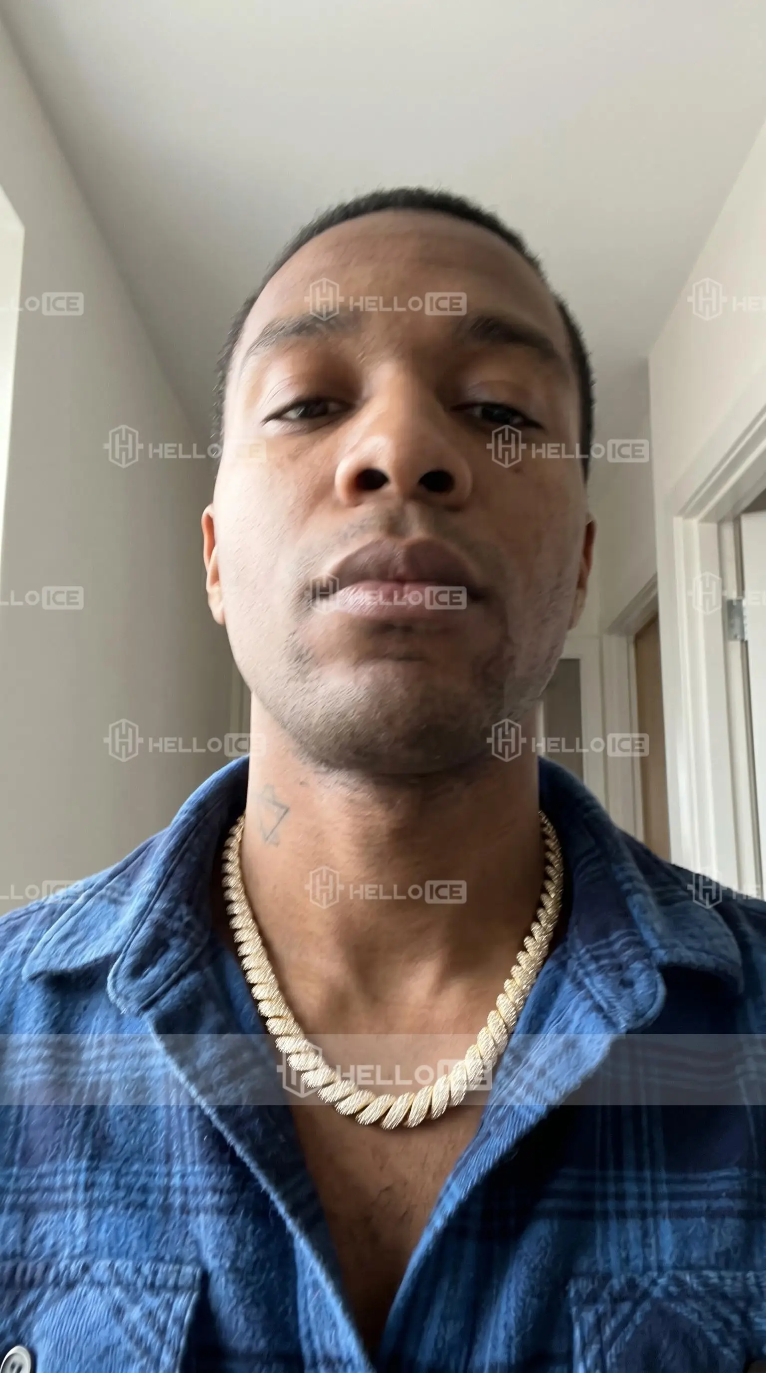 Helloice Review Image