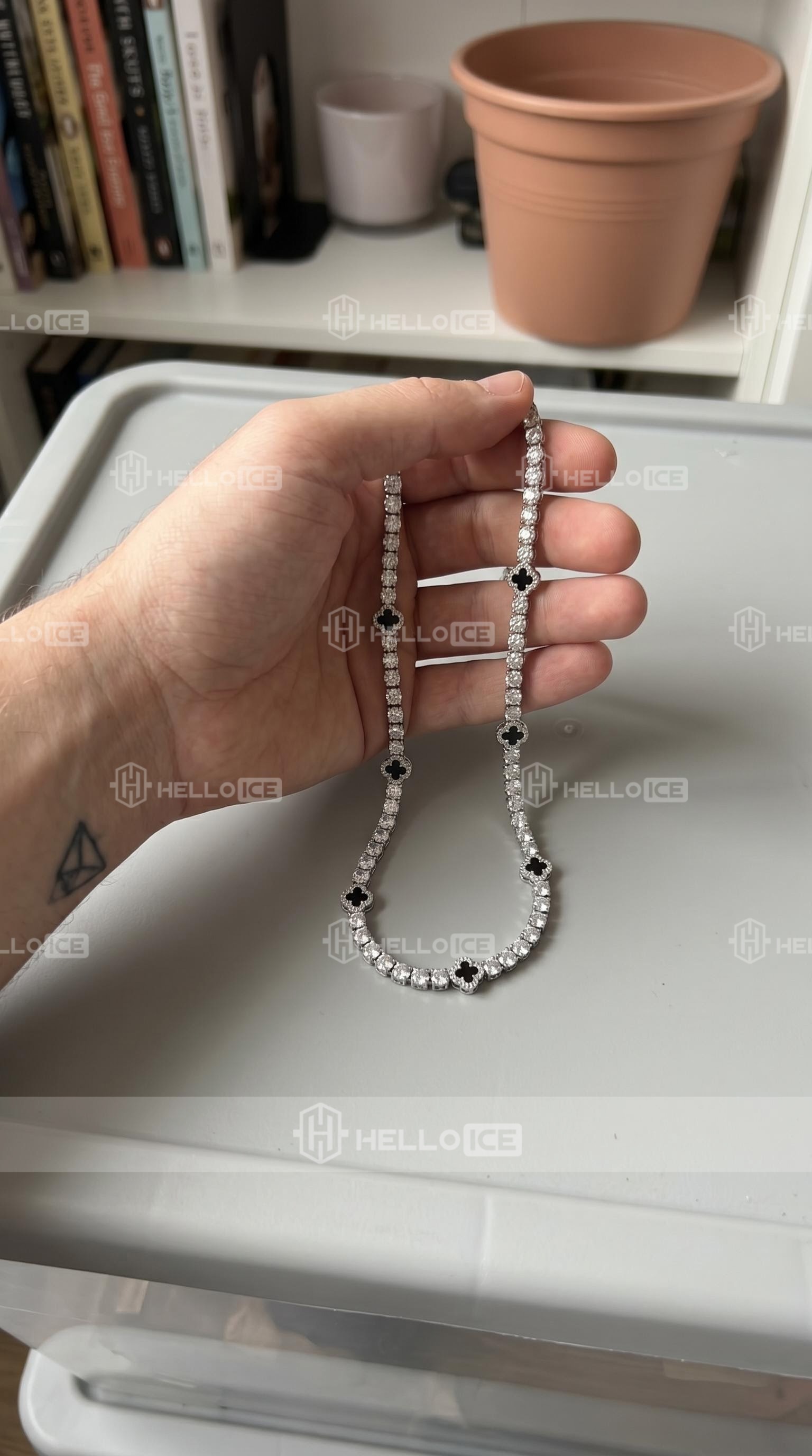 Helloice Review Image