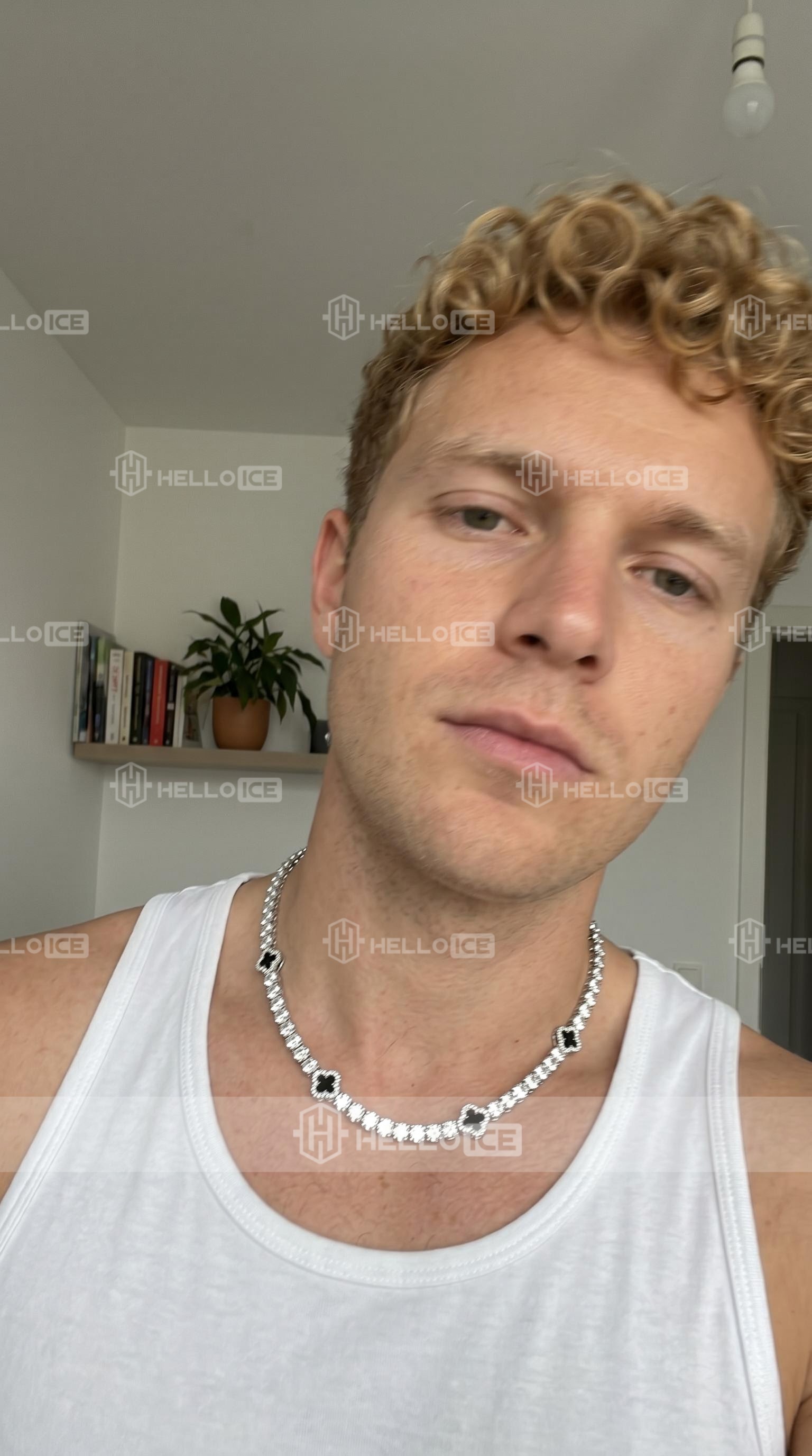 Helloice Review Image