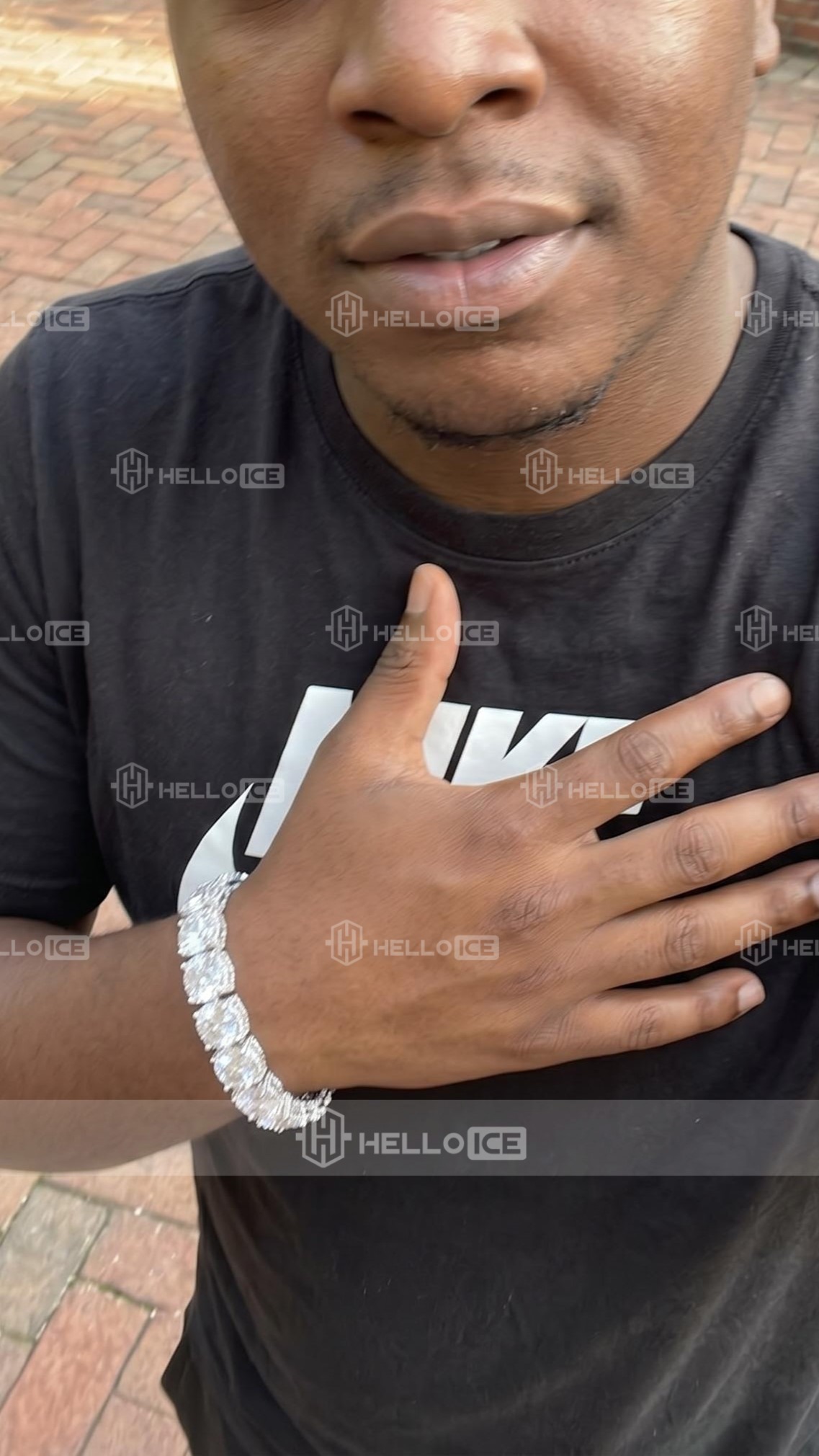 Helloice Review Image