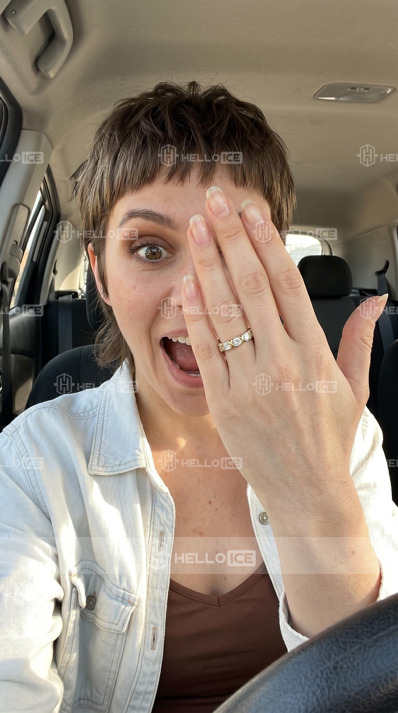 Helloice Review Image