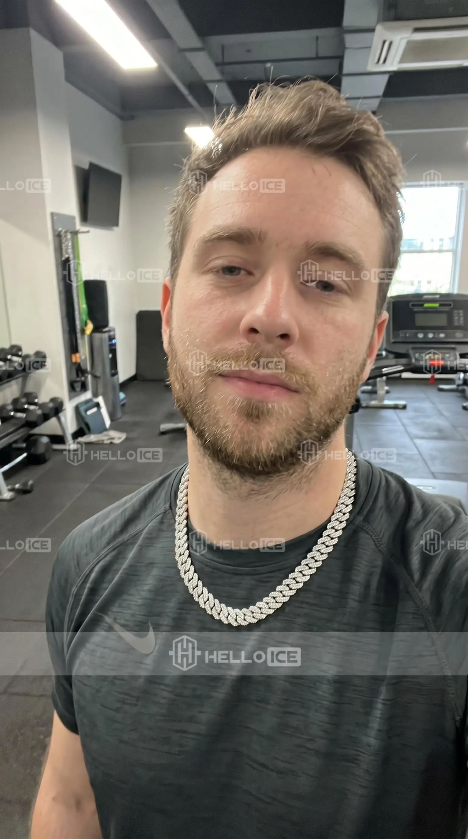 Helloice Review Image