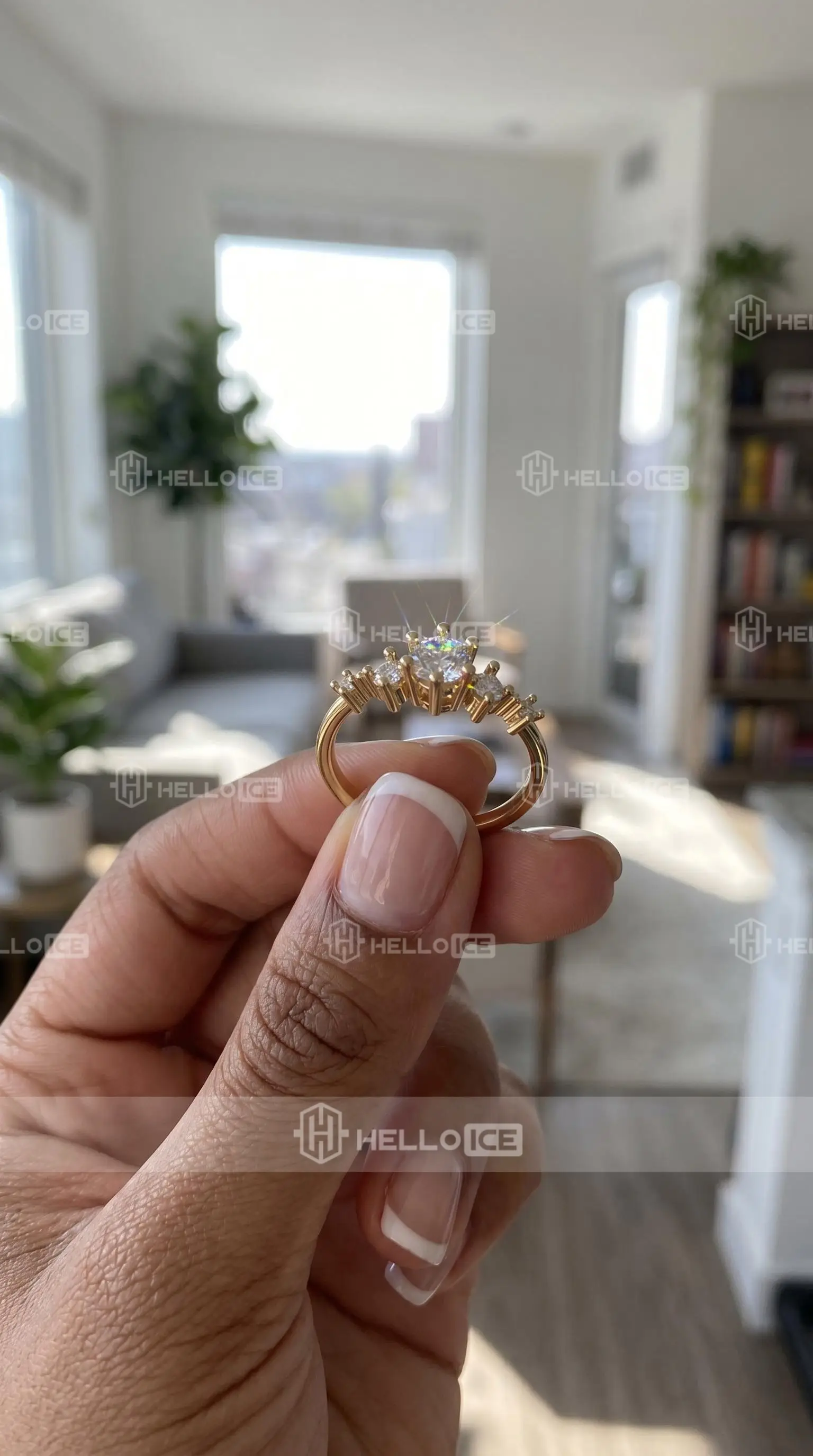 Helloice Review Image