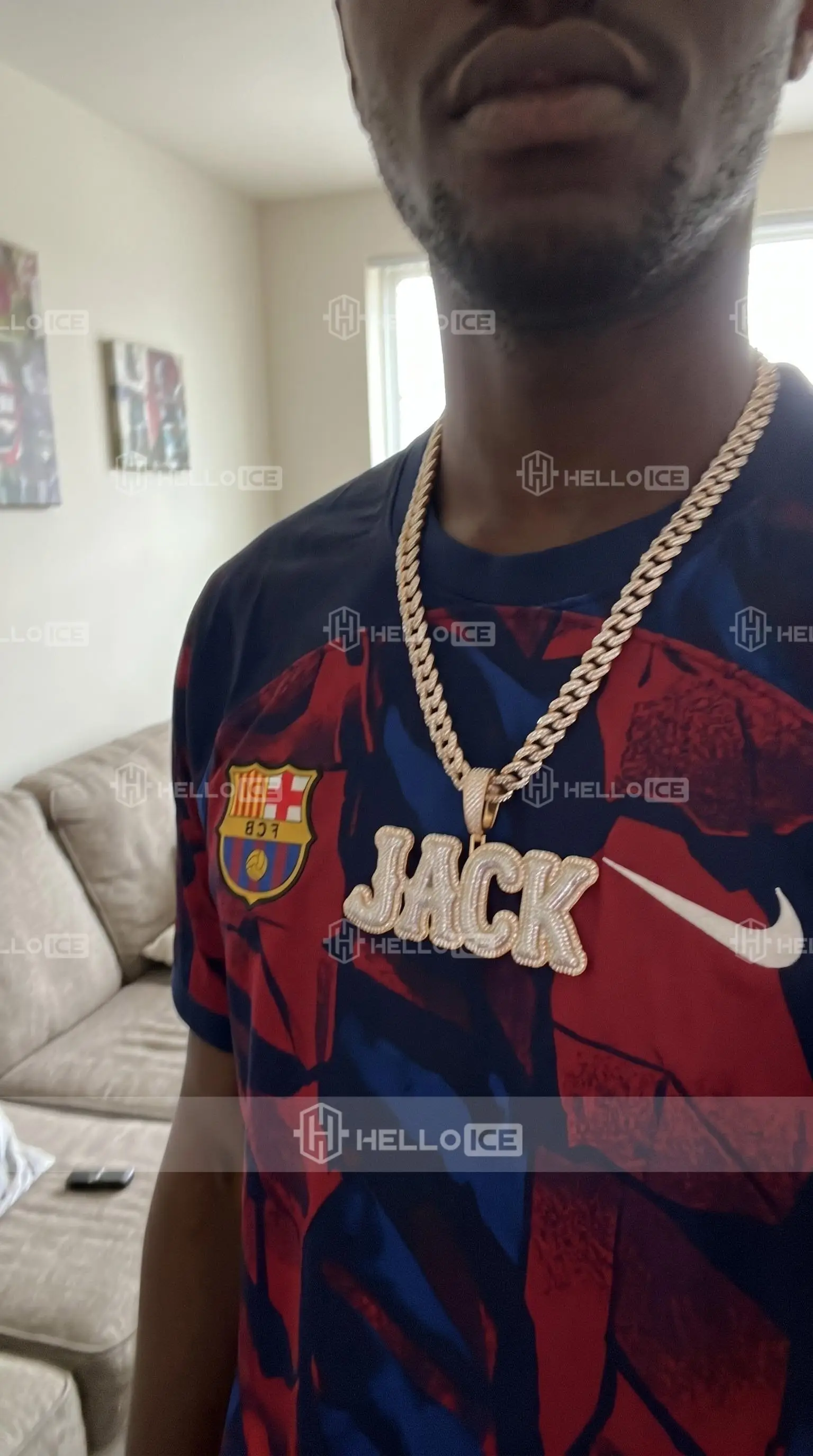 Helloice Review Image