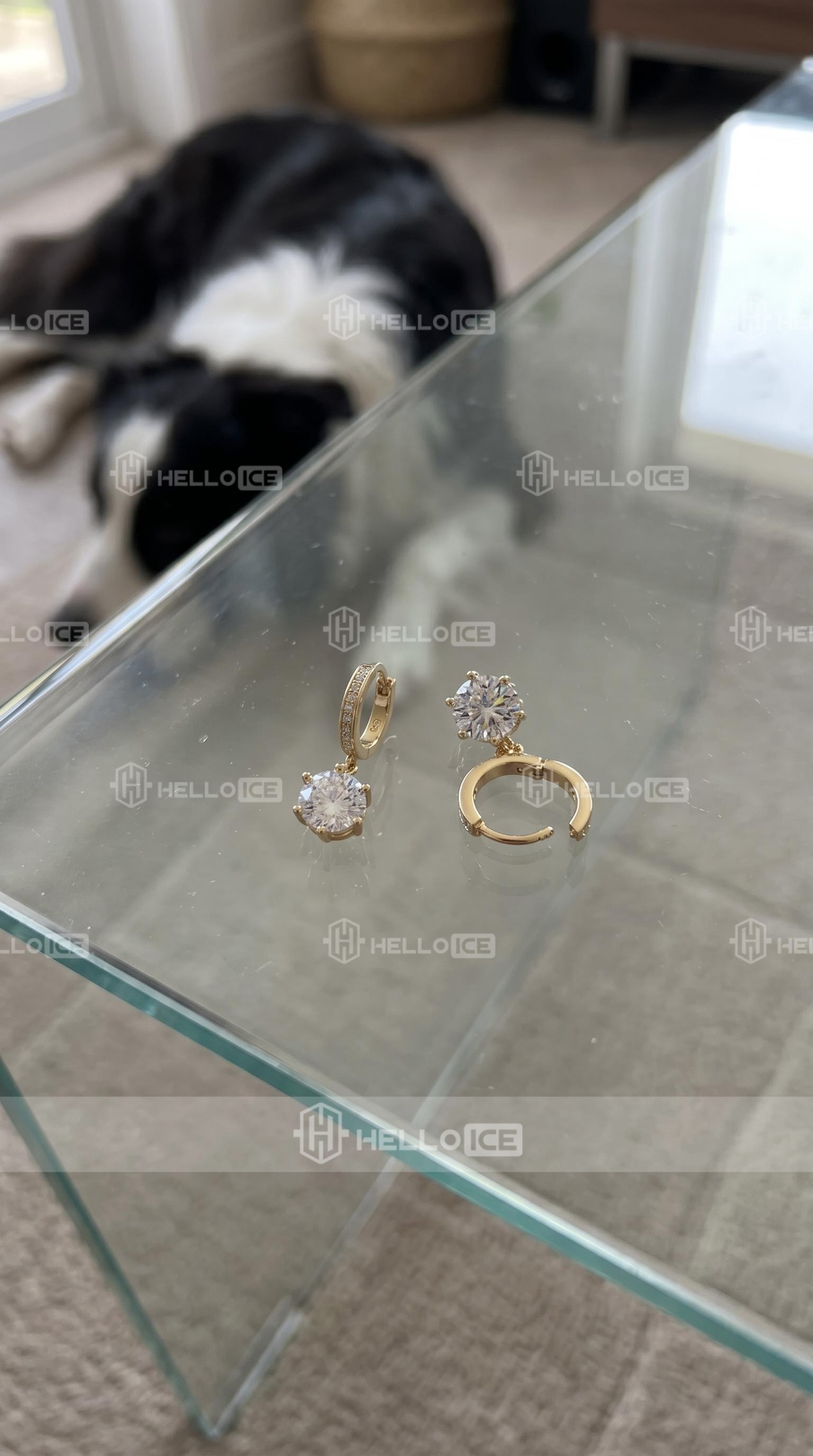 Helloice Review Image