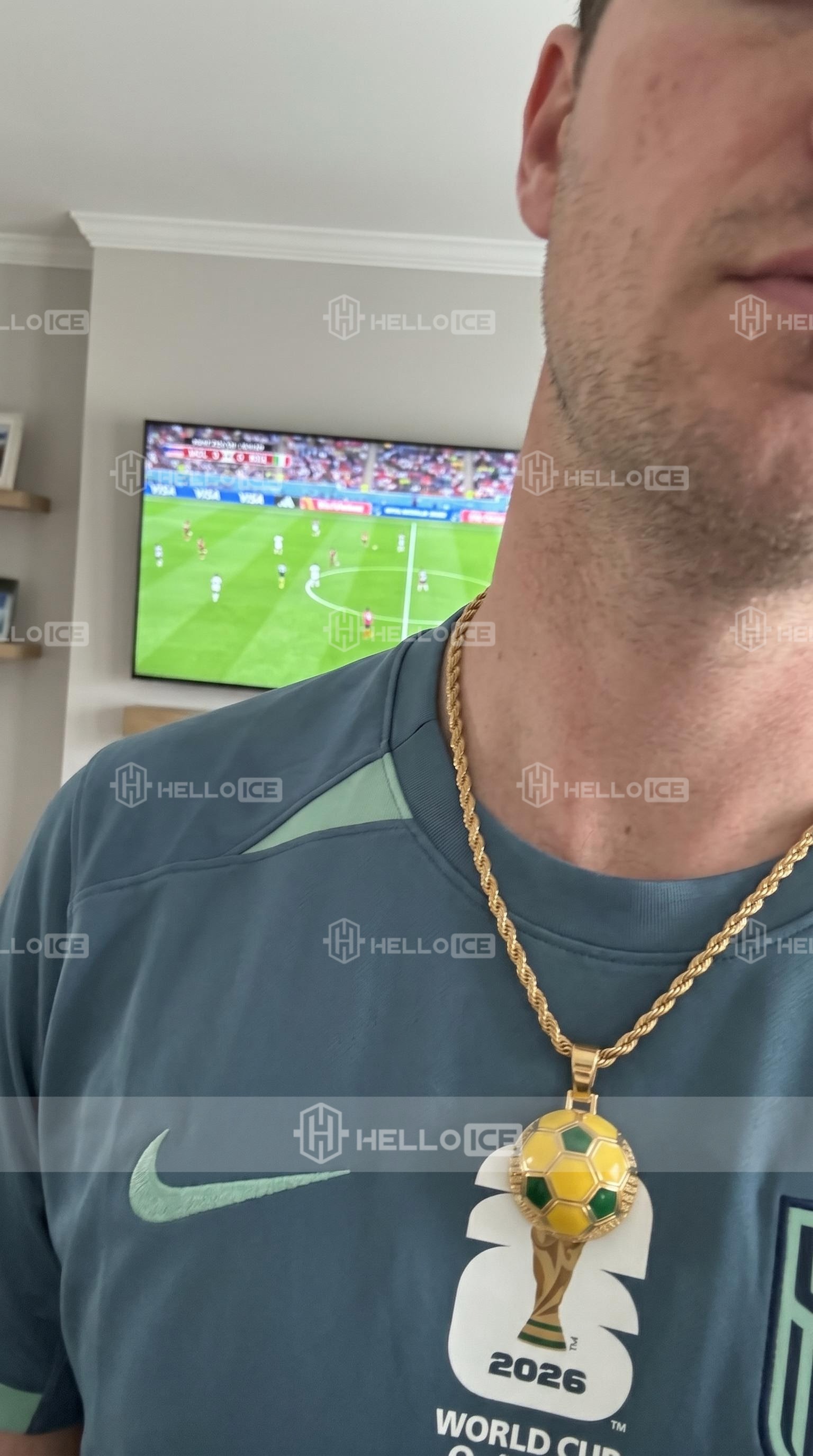 Helloice Review Image
